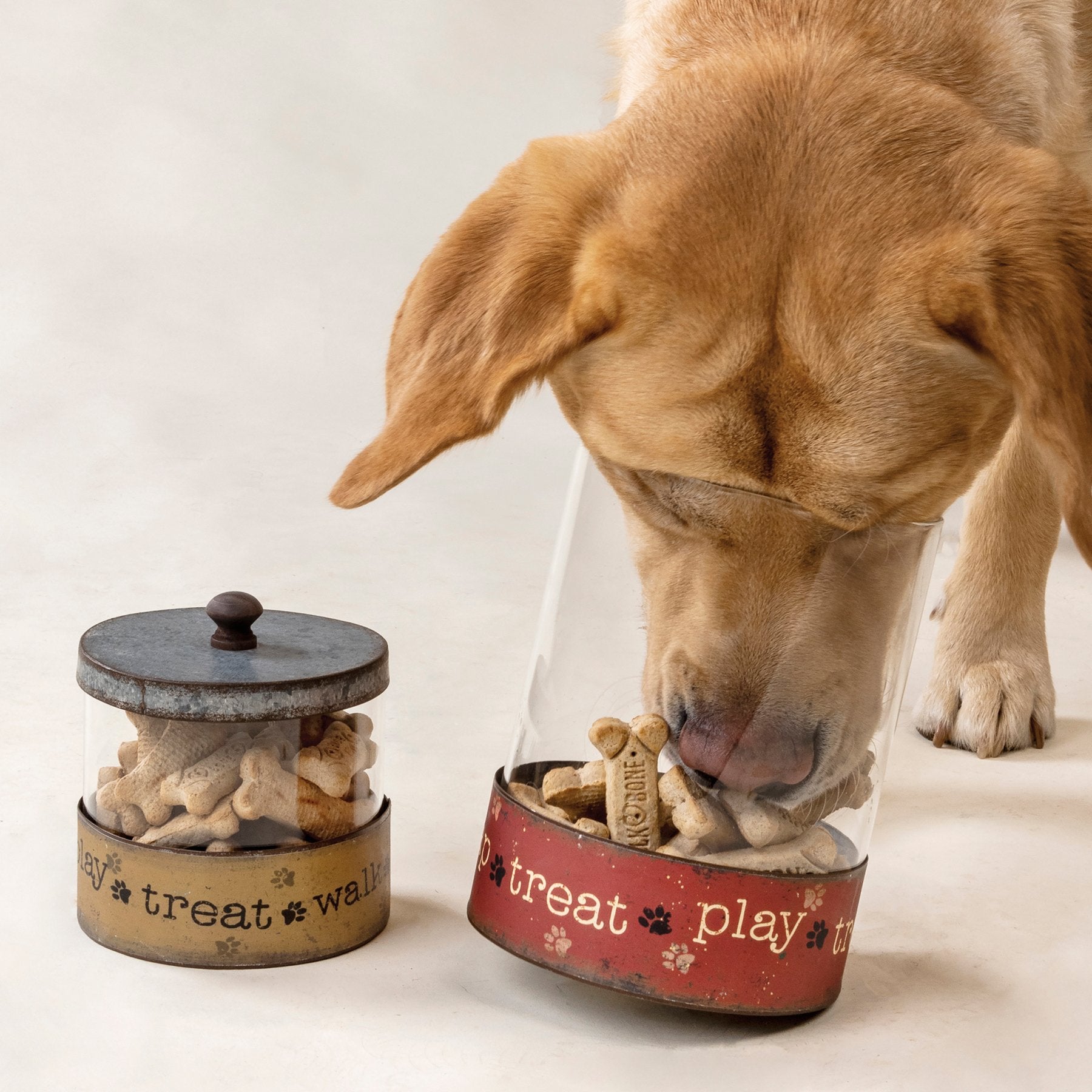 Charming Rustic Galvanized Glass Pet Treat Canister Set for Dogs