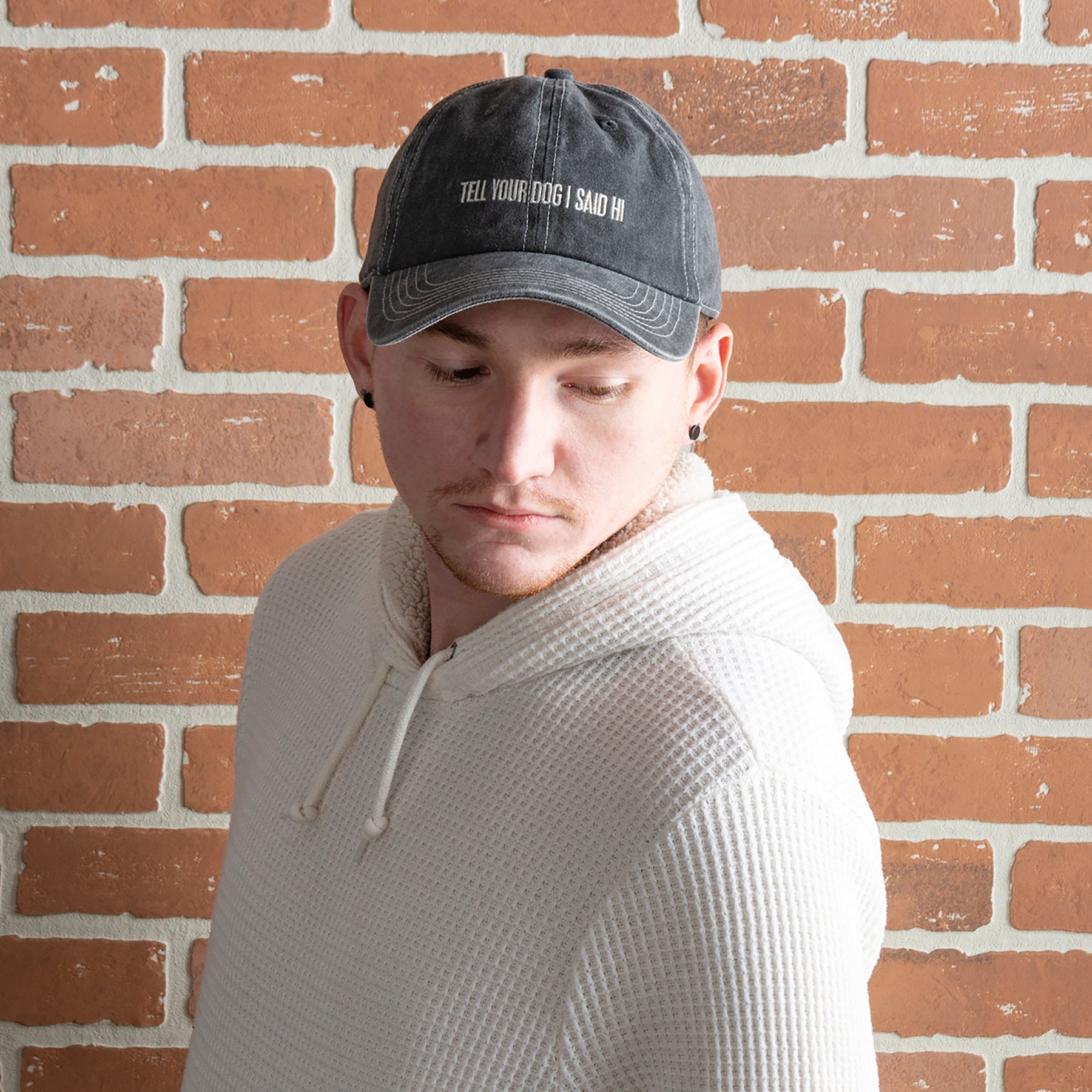 Funny "Tell Your Dog I Said Hi" Embroidered Washed Cotton Baseball Cap