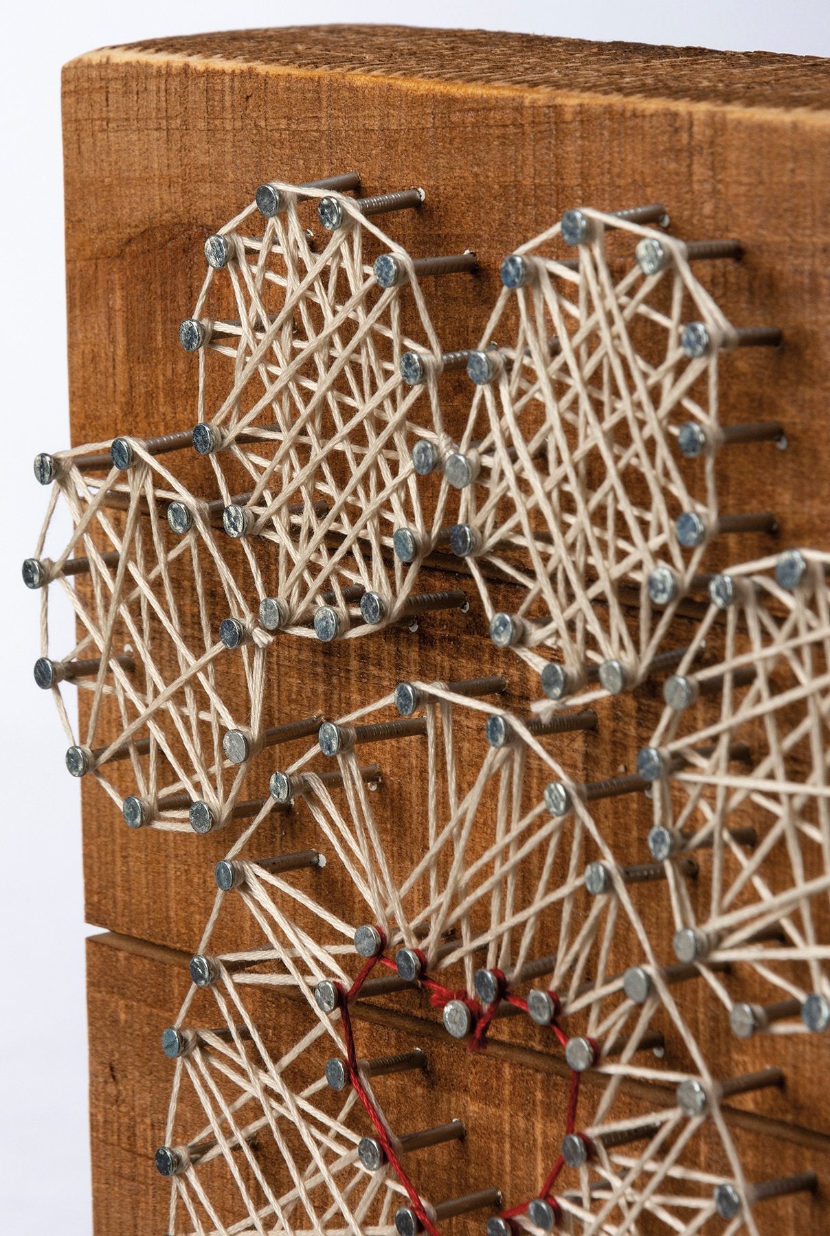 Heartwarming Pet Paw Print String Art Wood Box Sign