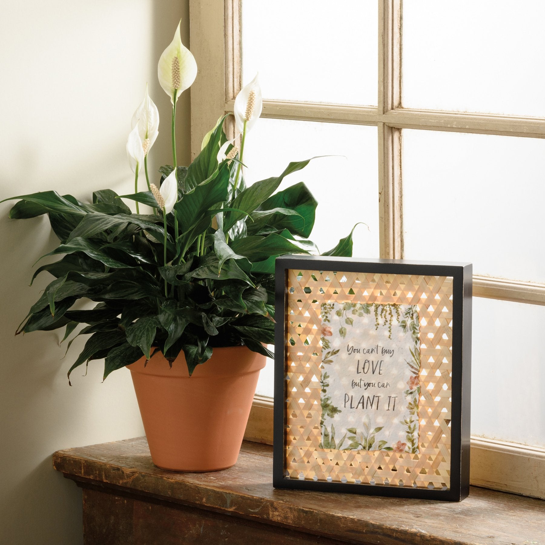 Rustic 'Can't Buy Love But Plant It' Watercolor Box Sign, Rattan Back Wood Decor