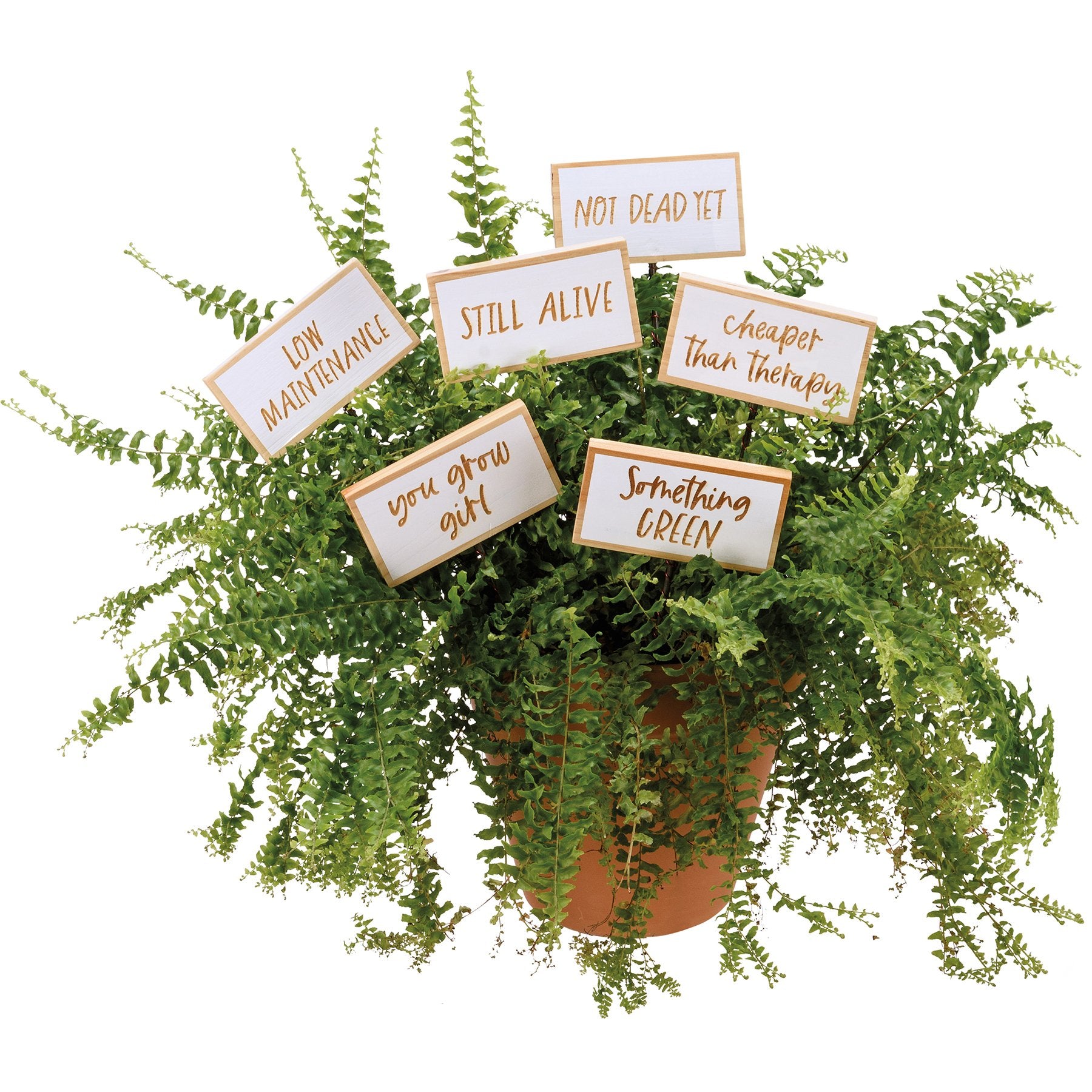 Six Humorous Garden Plant Marker Picks - Metal & Wood Sentiments Set