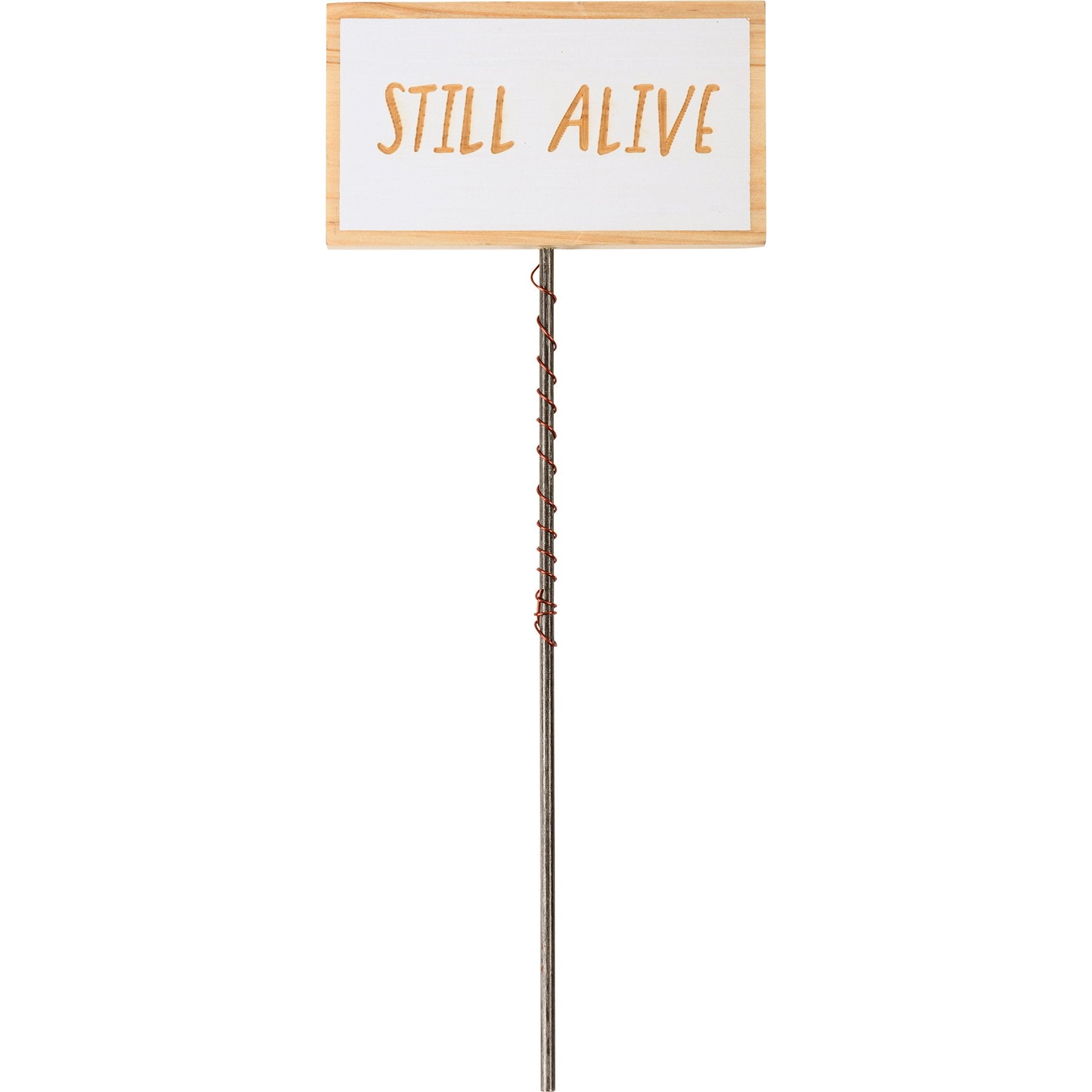 Six Humorous Garden Plant Marker Picks - Metal & Wood Sentiments Set