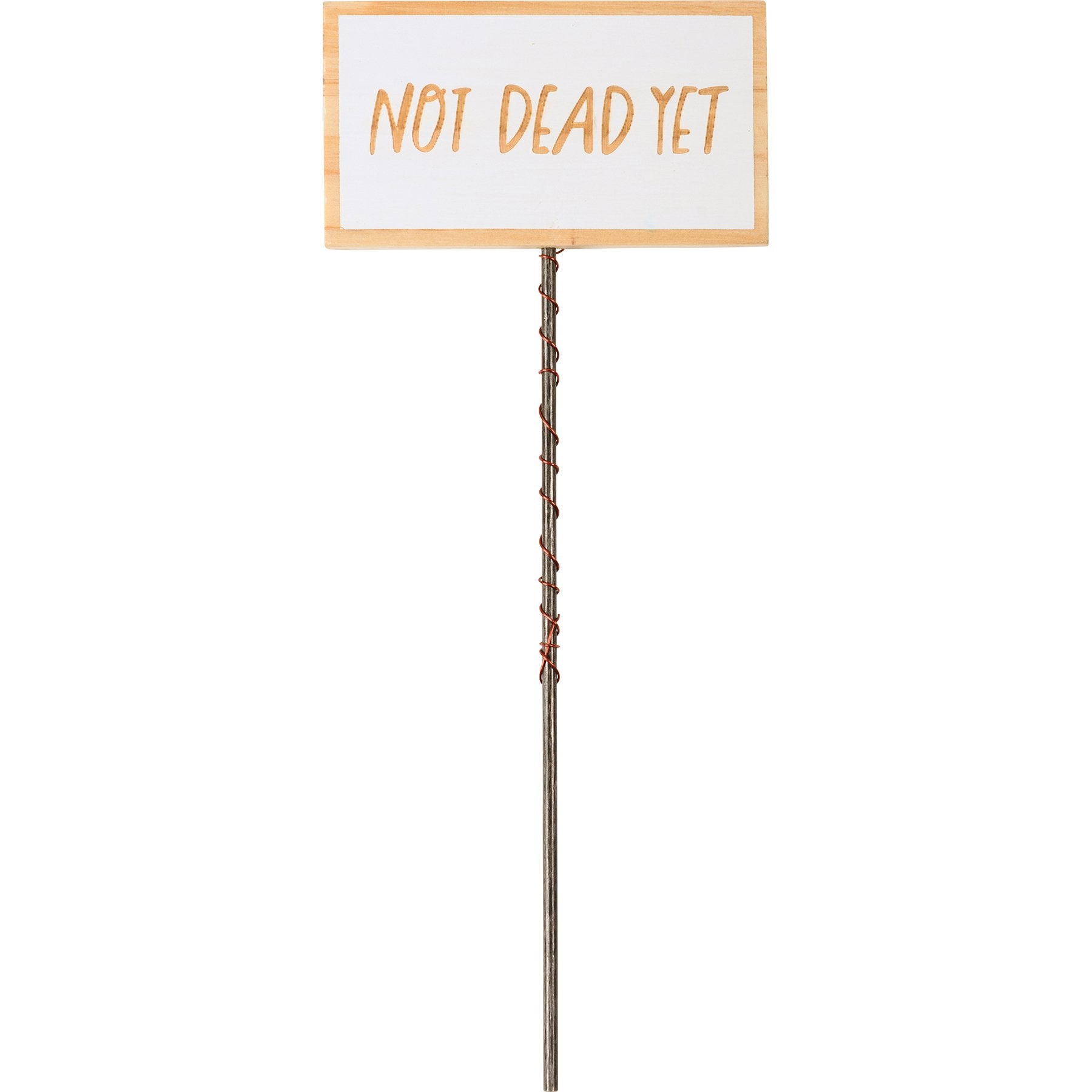 Six Humorous Garden Plant Marker Picks - Metal & Wood Sentiments Set