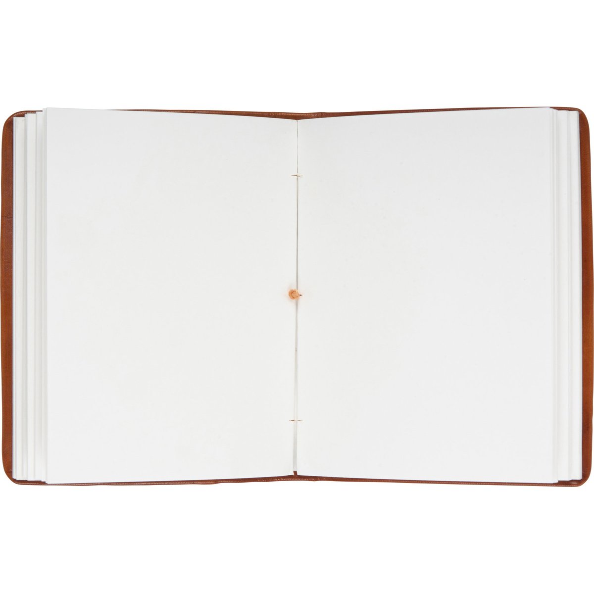 Elegant Leather Compass Rose Journal - 96 Unlined Pages with Rustic Rope Tie Closure