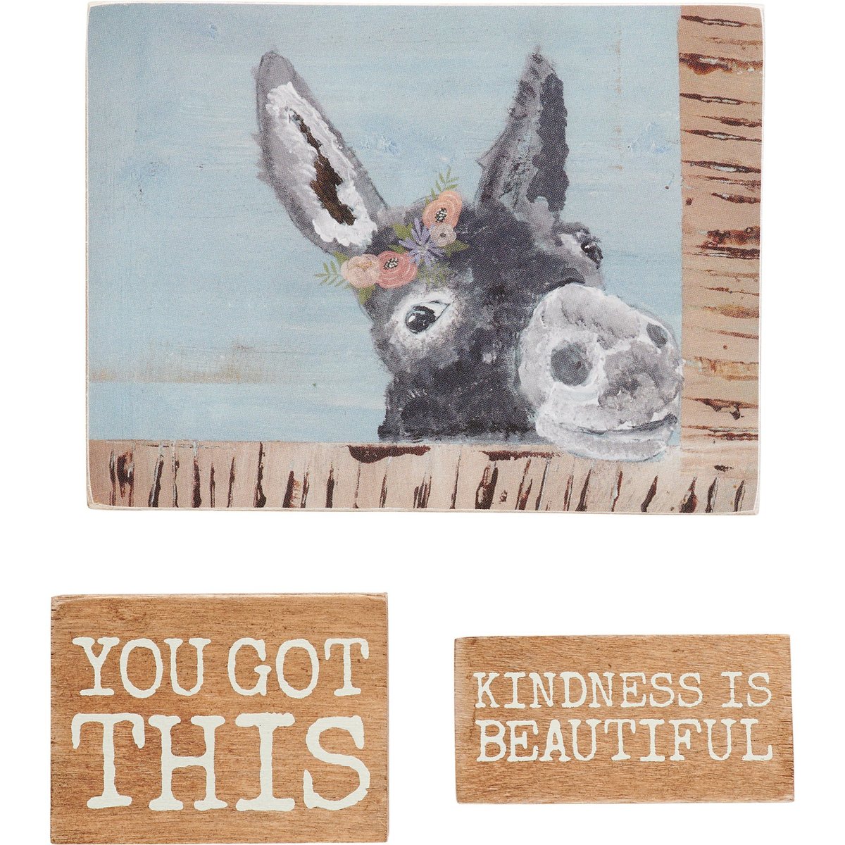 Friendship Heart Gallery Inspirational Donkey Floral Wood Magnet Set