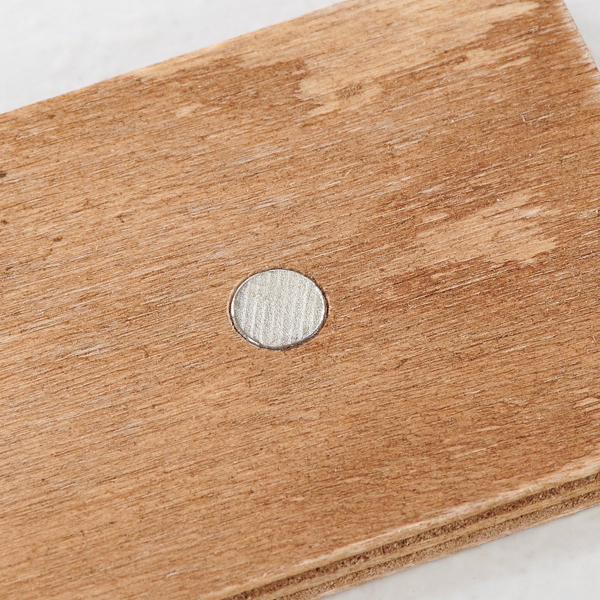 Friendship Heart Gallery Inspirational Donkey Floral Wood Magnet Set