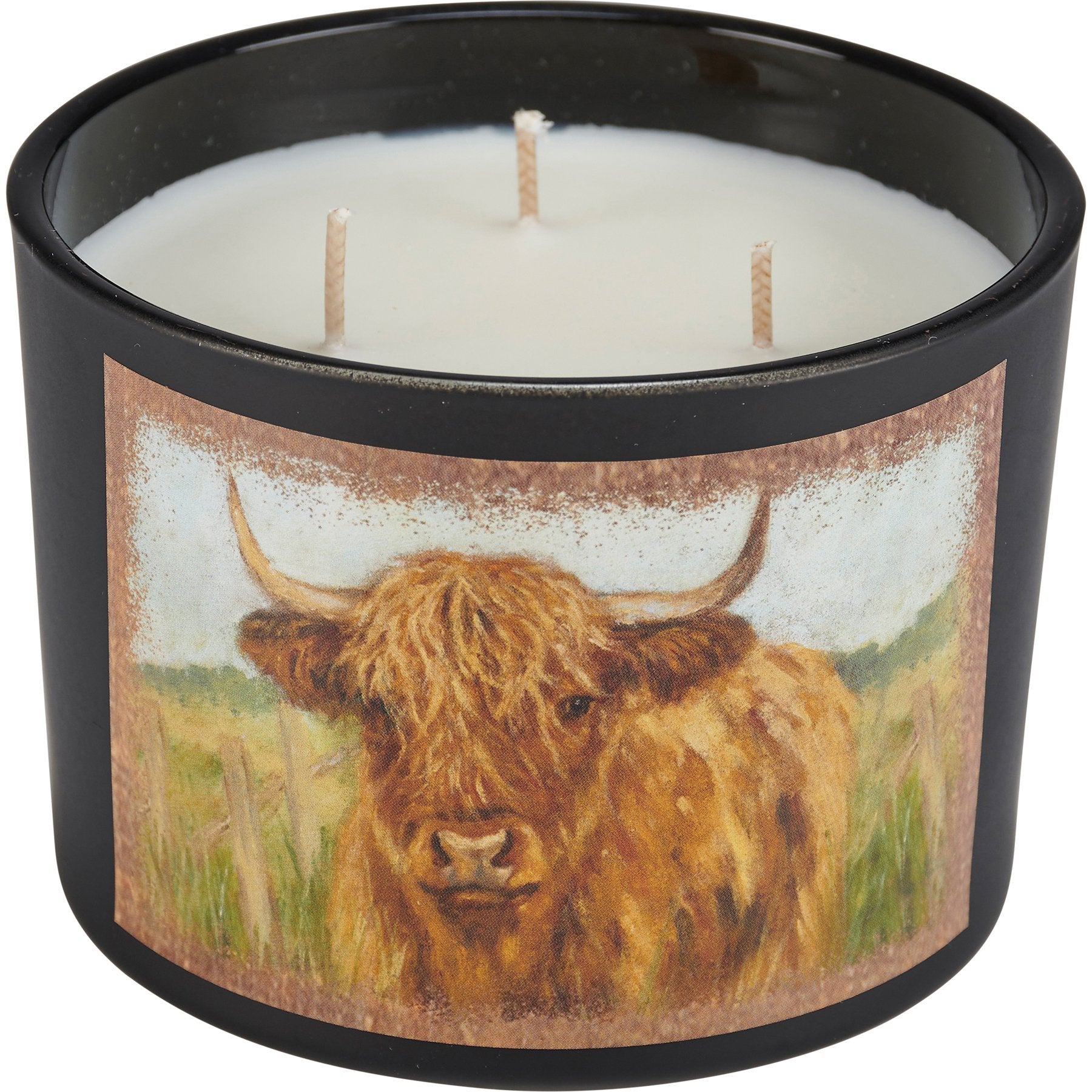 Rustic Highland Cow Jar Candle: Sea Salt & Sage Scent, 3 Wicks, 30-Hour Burn