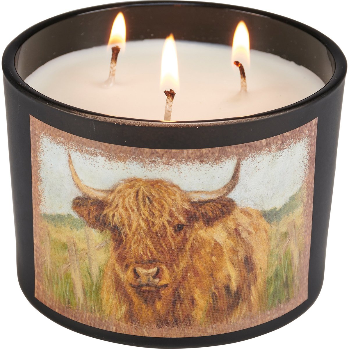 Rustic Highland Cow Jar Candle: Sea Salt & Sage Scent, 3 Wicks, 30-Hour Burn