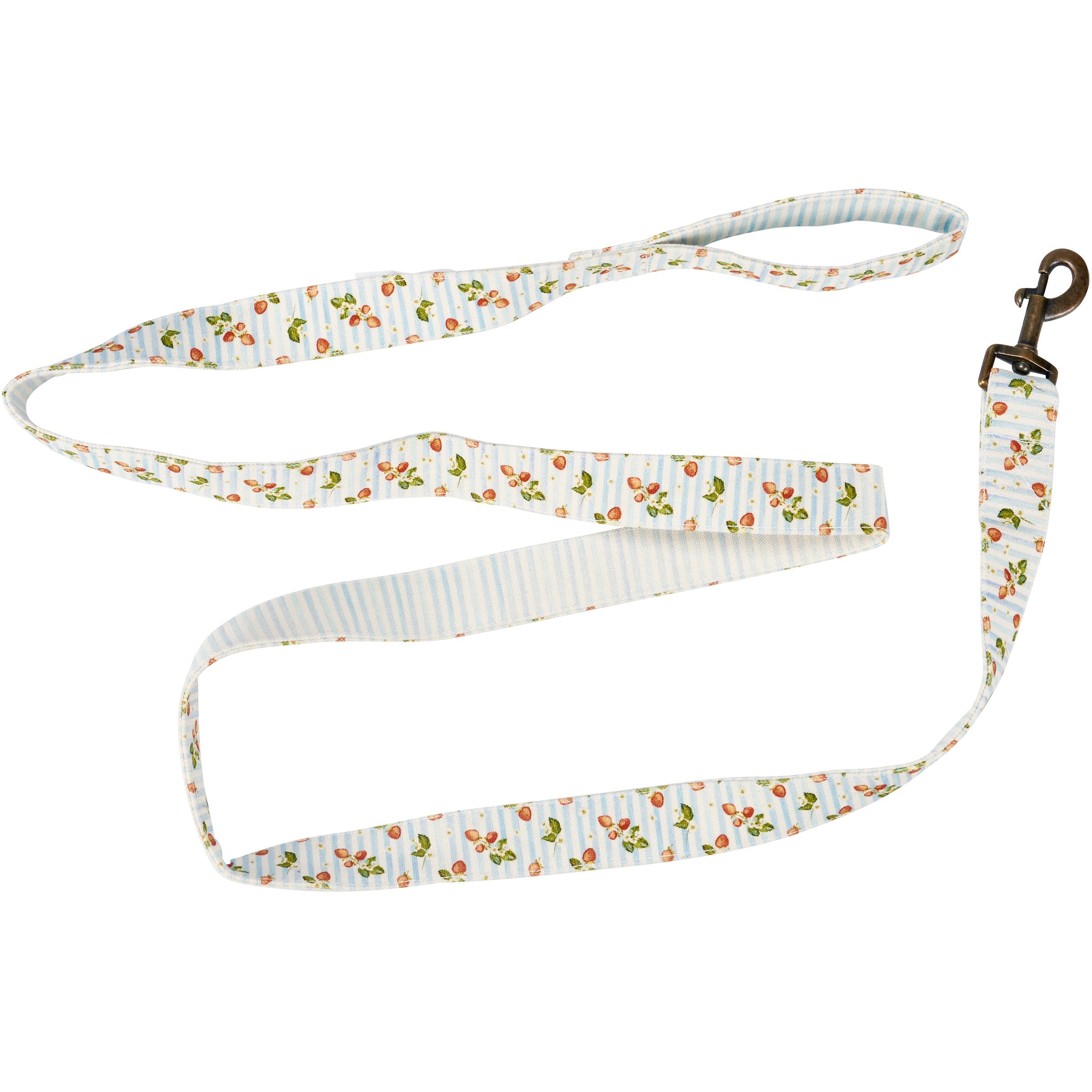 Hand-Painted Strawberry Stripe Canvas Dog Leash - Durable 6ft Pet Accessory