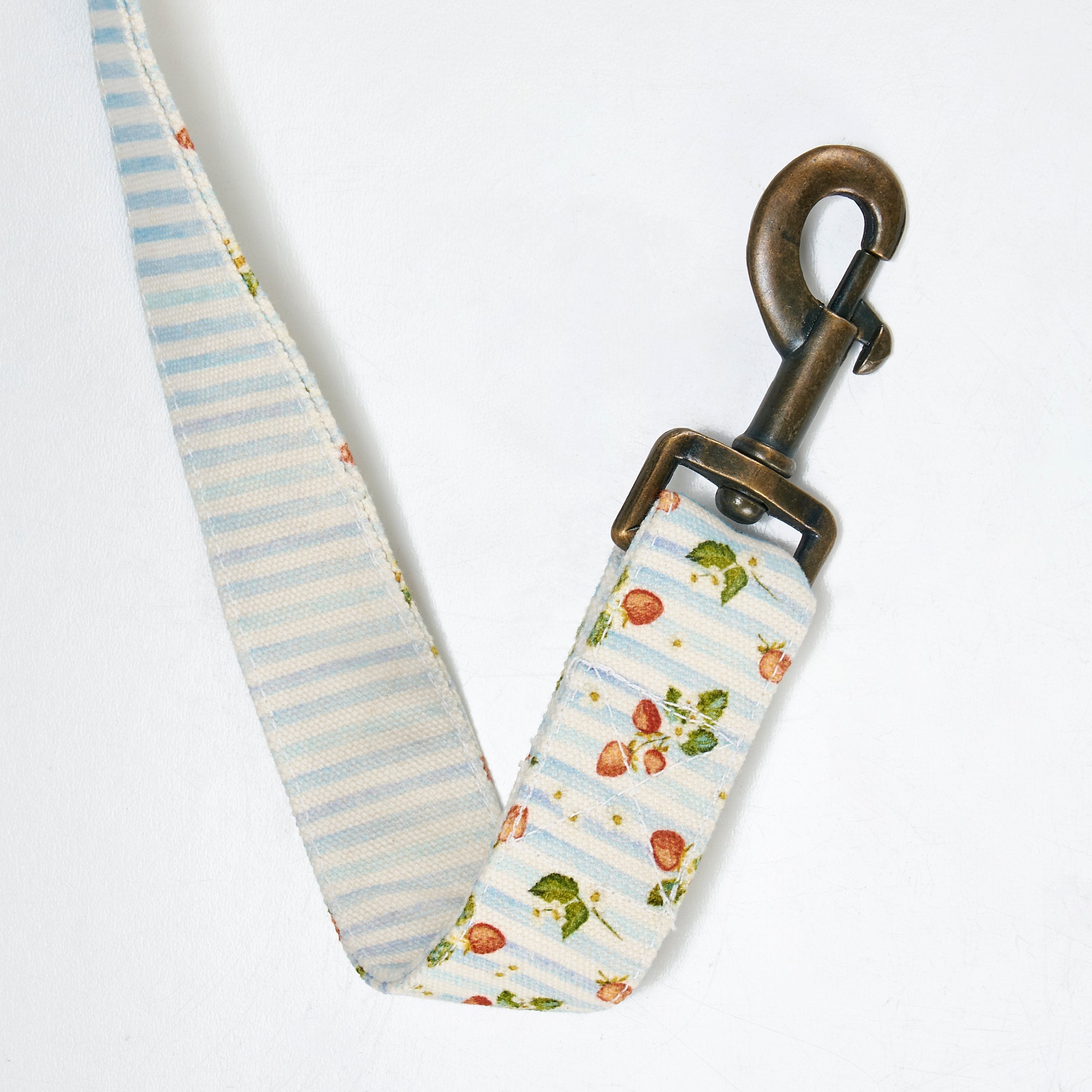 Hand-Painted Strawberry Stripe Canvas Dog Leash - Durable 6ft Pet Accessory