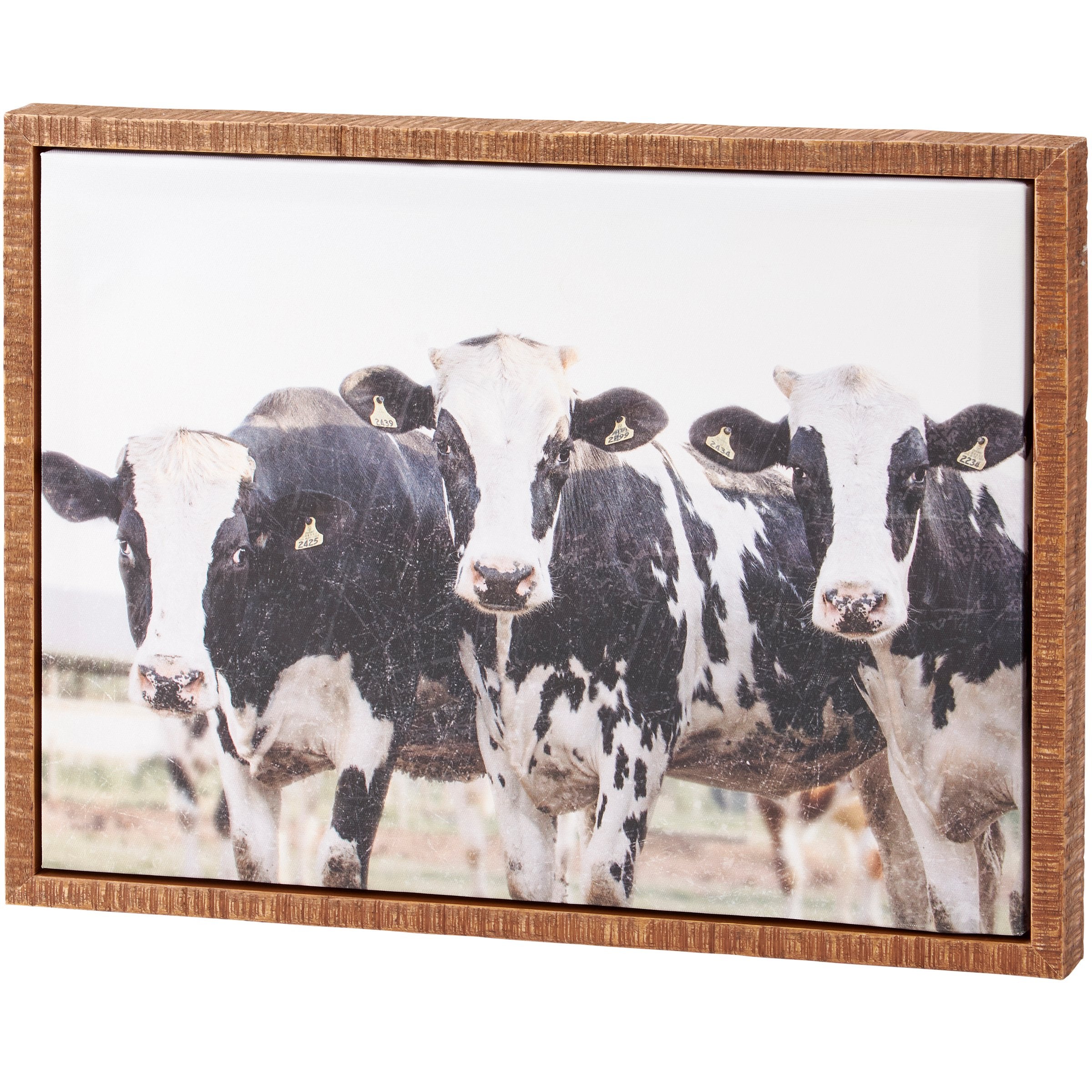Rustic Farmhouse Cows Canvas Wall Art with Natural Wood Floating Frame