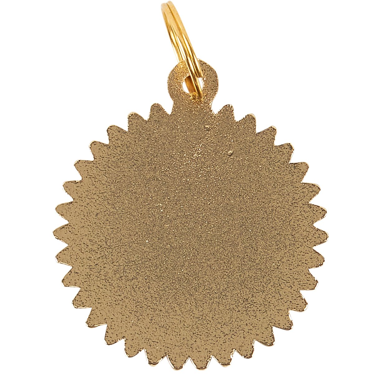 Playful "Sun's Out Tongue's Out" Enamel Dog Collar Charm Accessory