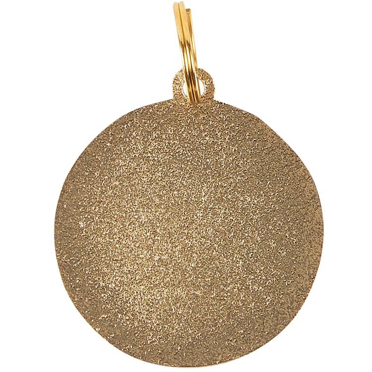 Hilarious Pet ID Tag: 'Oh Shit! I'm Lost' Hard Enamel Collar Charm