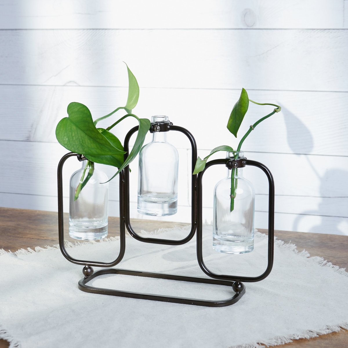 Charming Rustic Glass Trio Test Tube Vase with Metal Stand for Plant Propagation, Floral Display