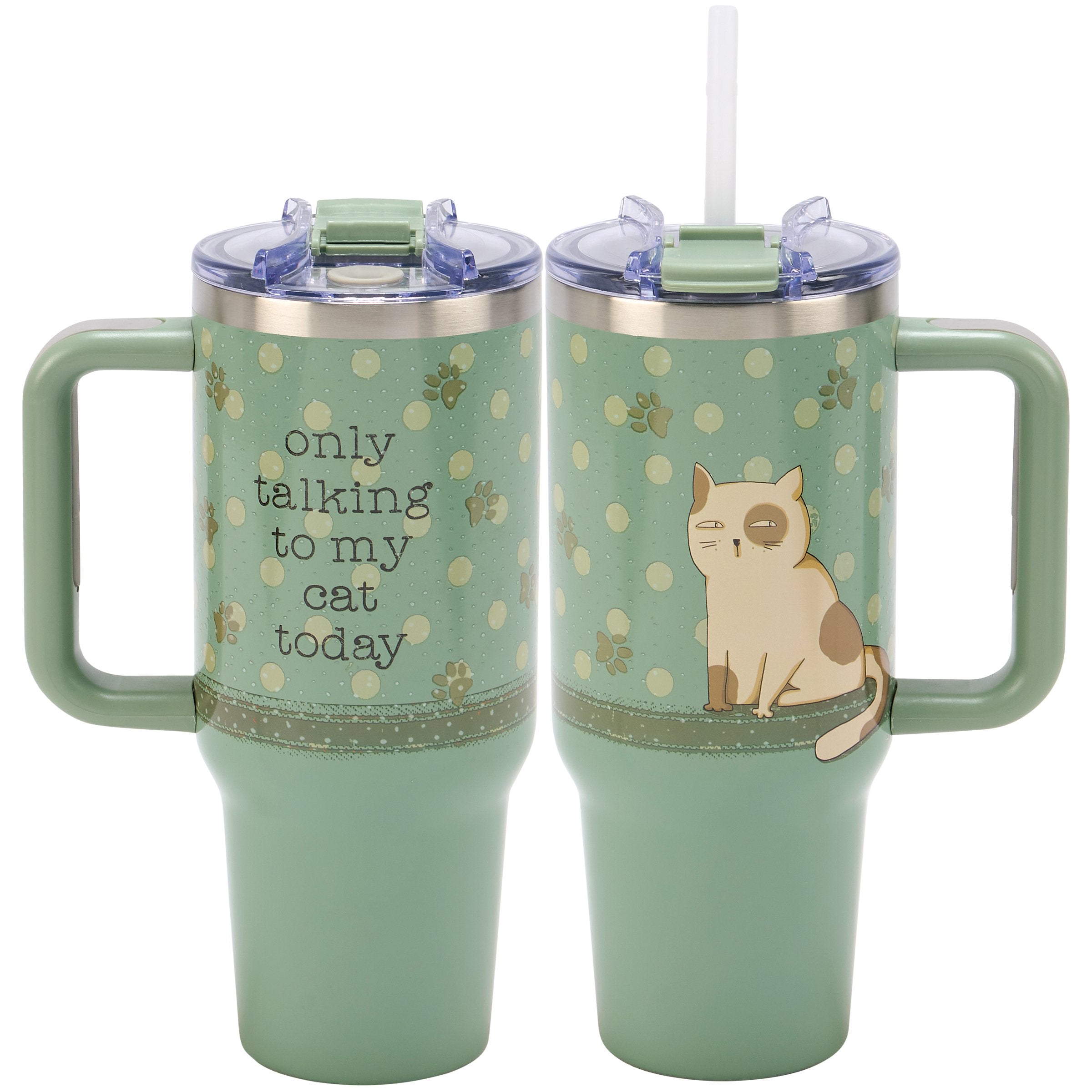Sassy Cat Lover's 40oz Insulated Stainless Steel Travel Mug with Handle & Straw