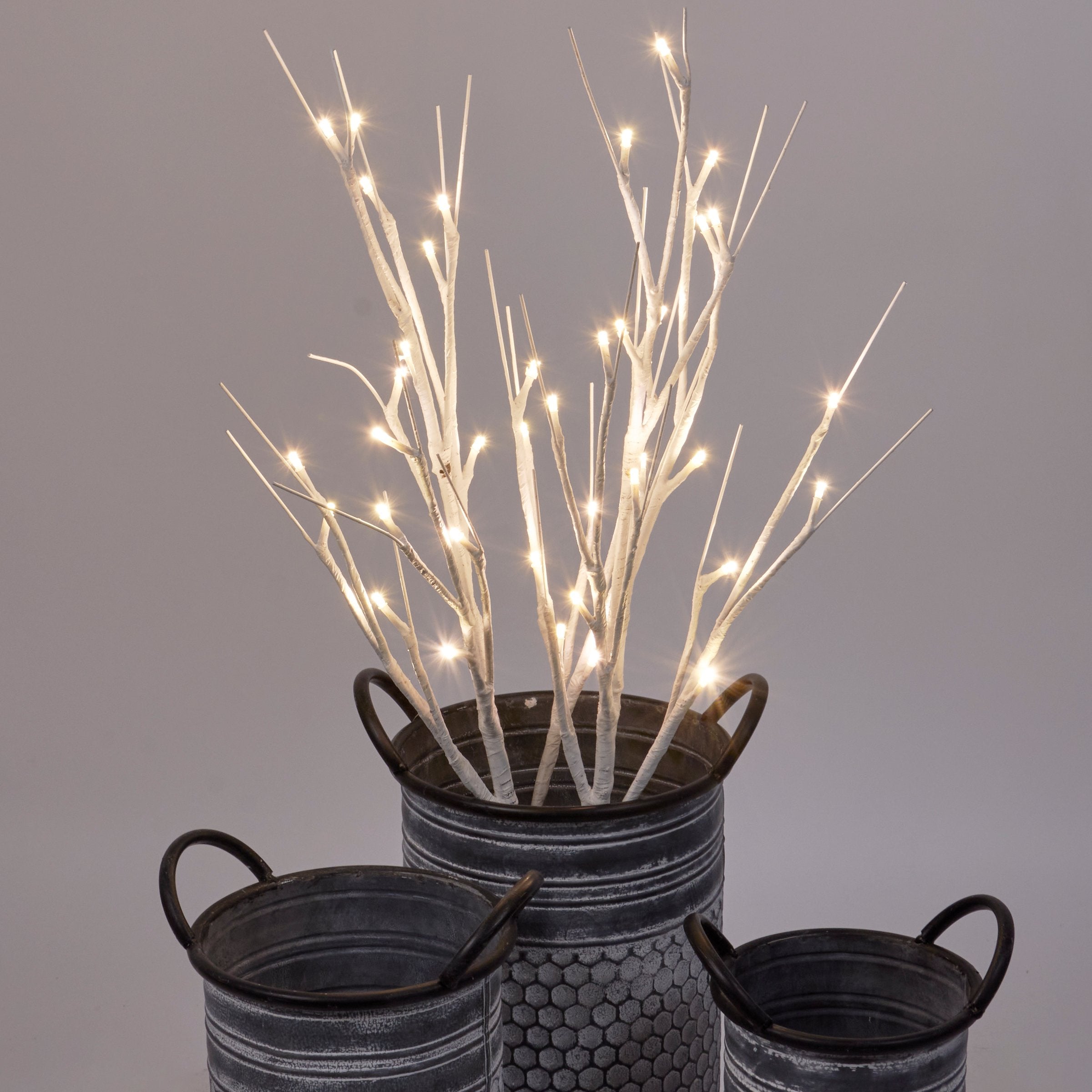 Elegant 30-inch Lighted Birch Twigs with Warm White LEDs and Timer