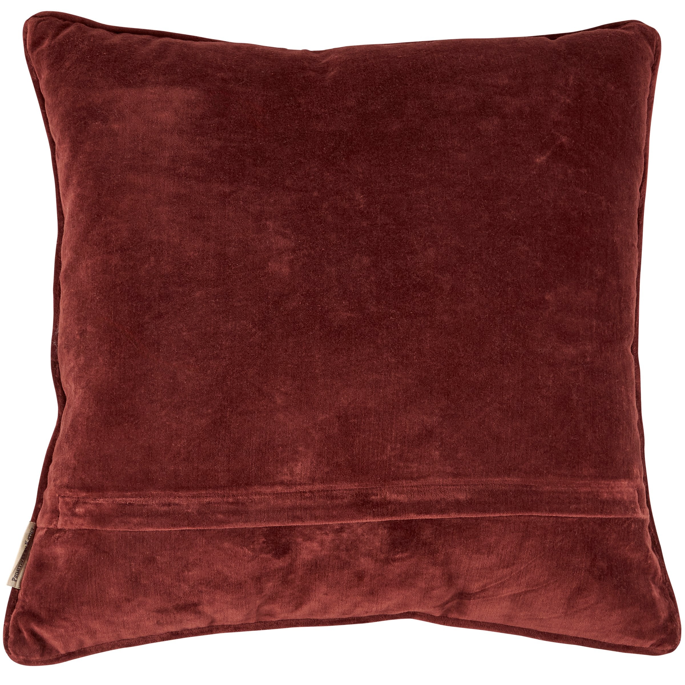 Dark Academia Beetle Floral Cotton Velvet Decorative Accent Pillow with Zipper