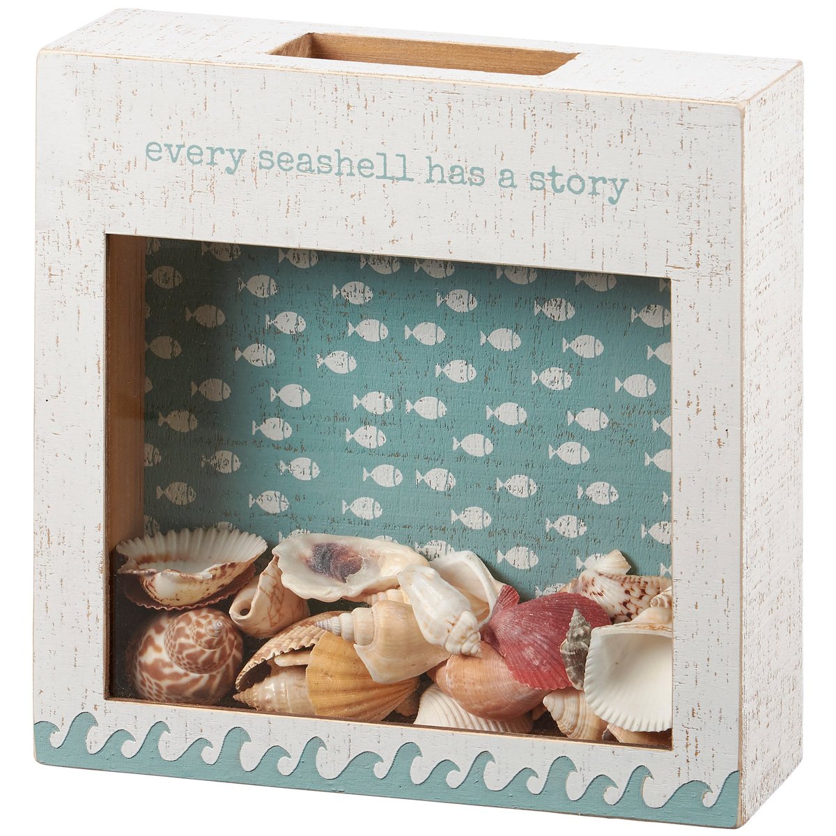 Rustic Wooden Beach Seashell Display Holder with Glass Window for Keepsakes
