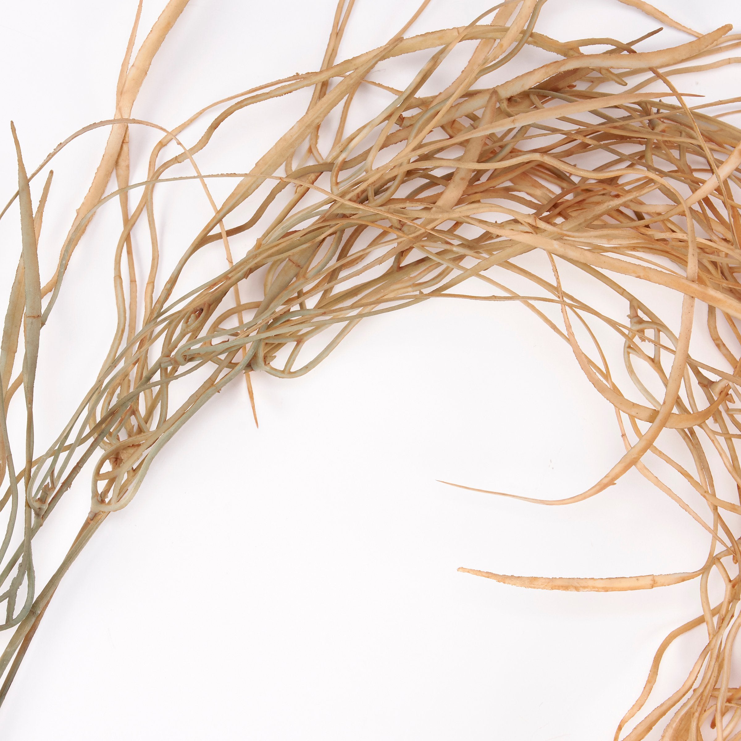 Coastal Faux Seaweed Floral Pick - Lifelike Botanical Decor, No Maintenance, 47-Inch Tall