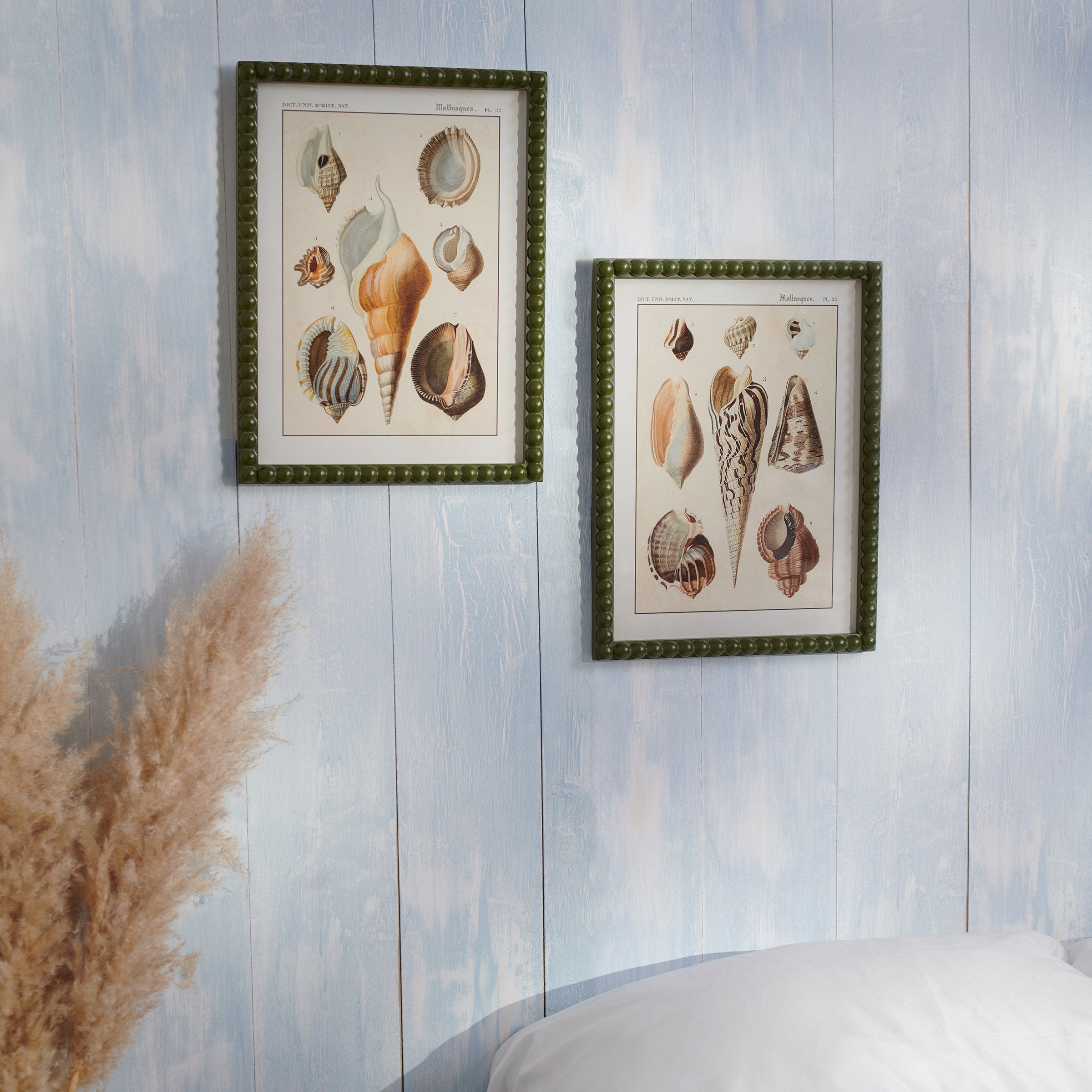 Vintage Conch Study Framed Wall Art with Green Beaded Wood Frame