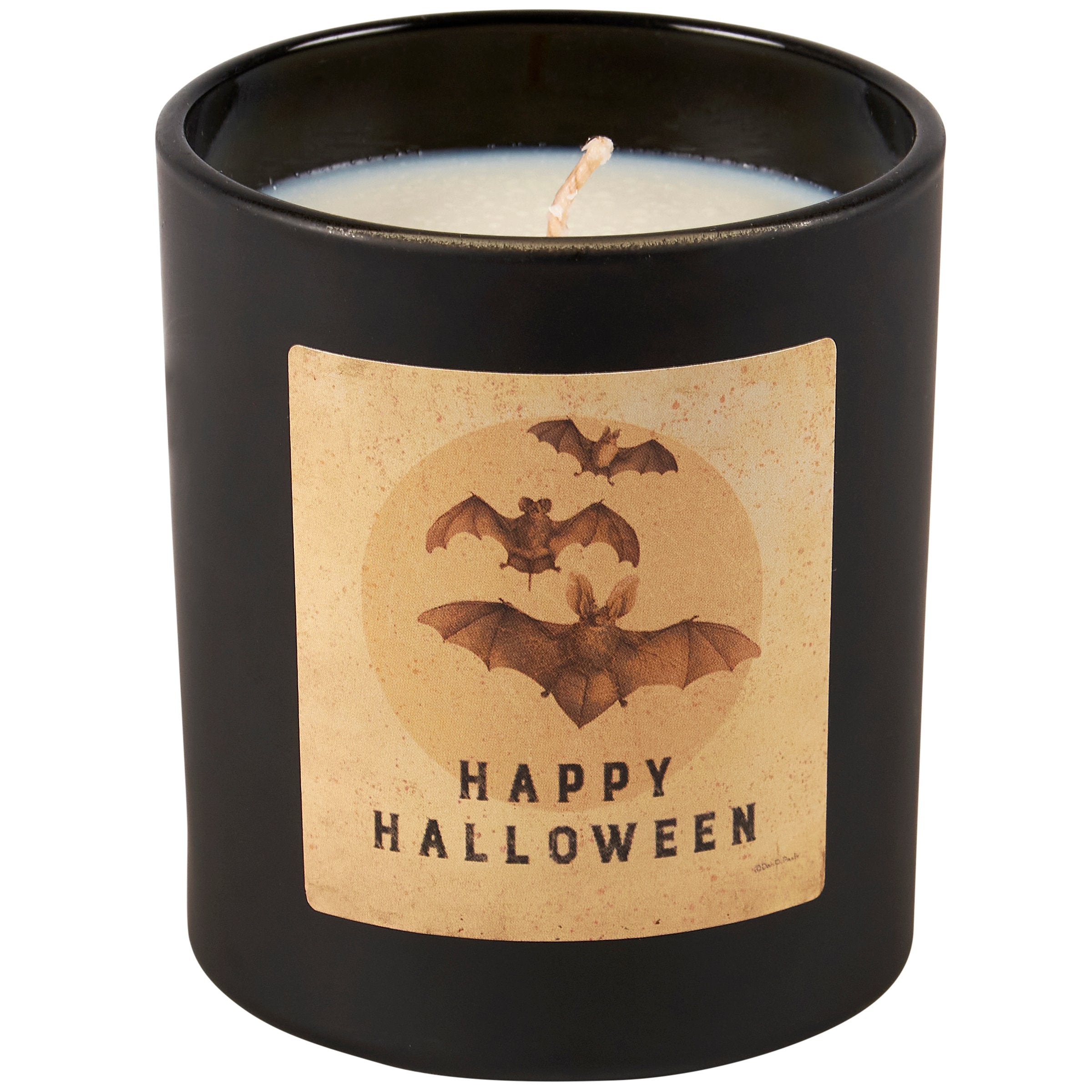 Spooky Halloween Bats Vetiver Scented Candle, Matte Black Glass Decor