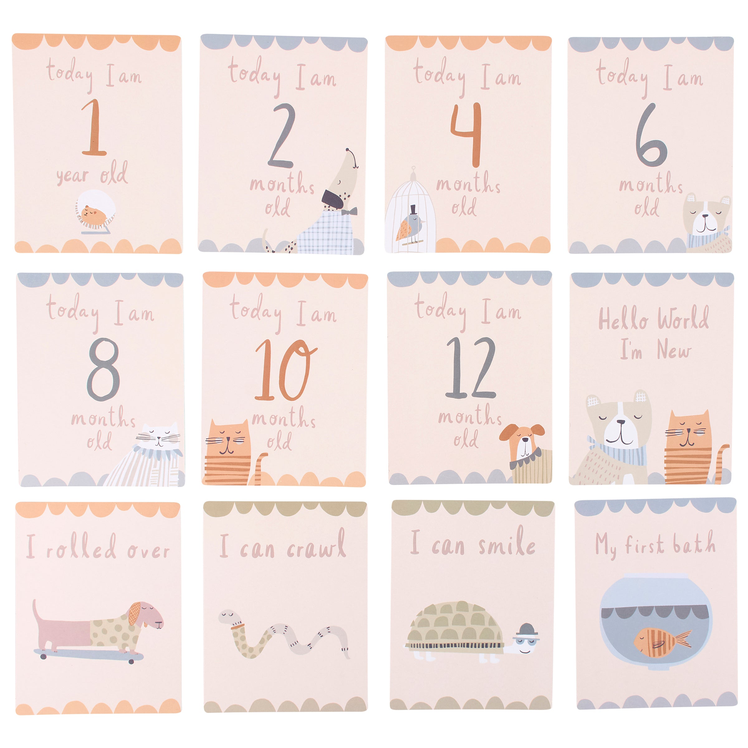 Charming Animal Friends Baby Milestone Cards Set for Precious First Year Memories
