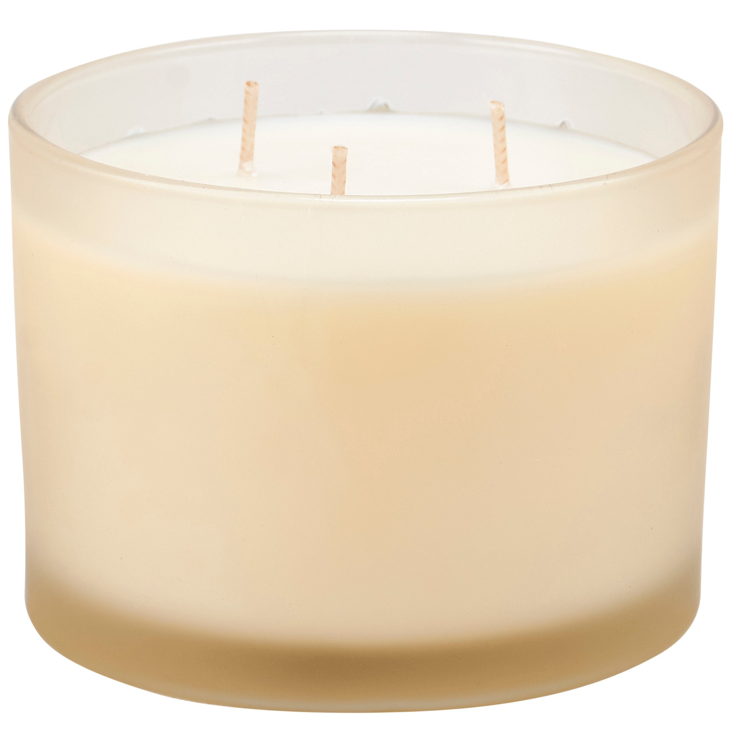 Frosted Glass Love Dogs Candle with Eucalyptus Scent and 3 Wicks