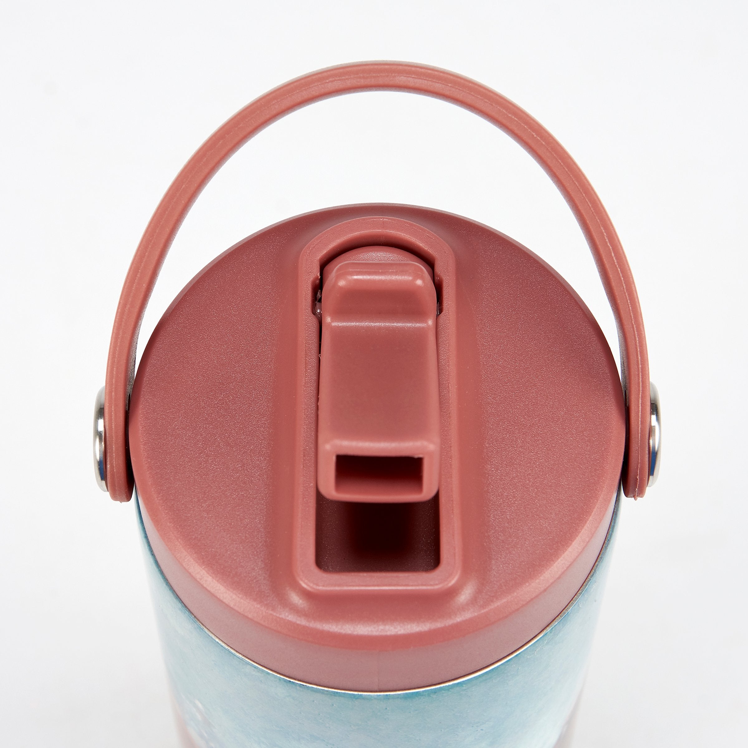 20 oz Stainless Steel Insulated Running Horses Sport Water Bottle with Straw & Strap