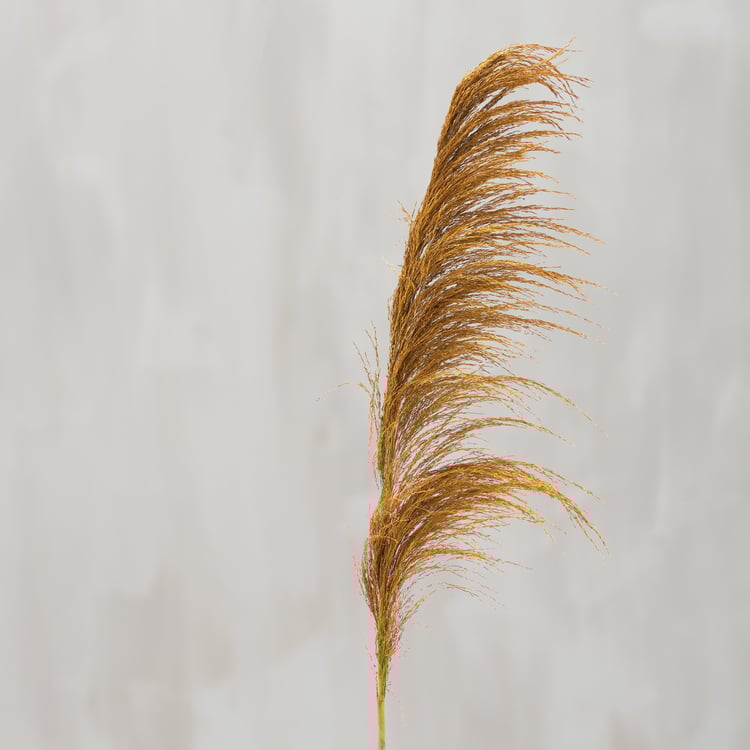 Vibrant Yellow Dried Common Reed Floral Pick - Tall Natural Botanical Decor