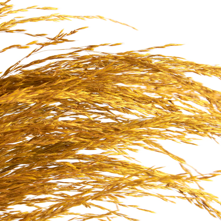 Vibrant Yellow Dried Common Reed Floral Pick - Tall Natural Botanical Decor