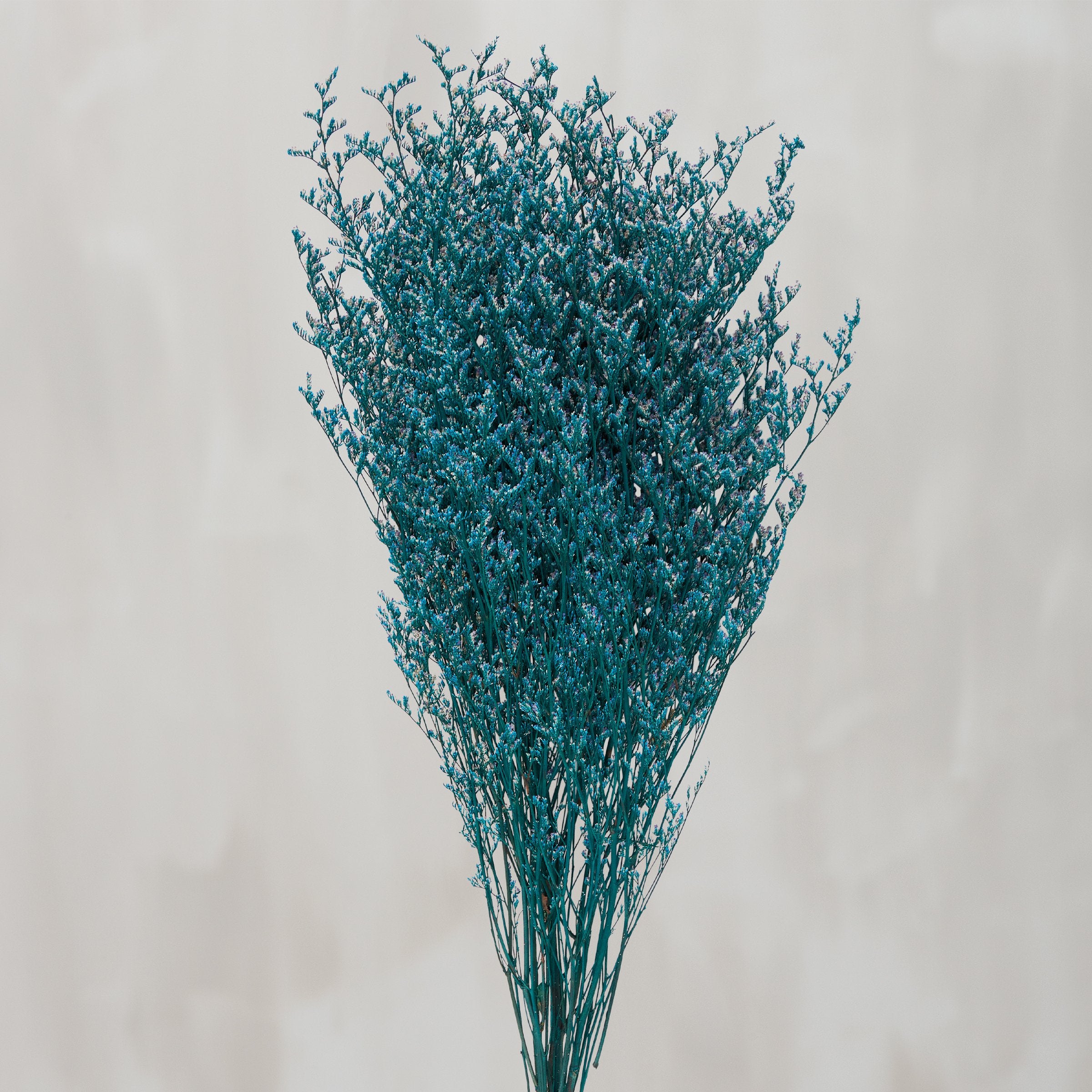 Vibrant Blue Caspia Dried Floral Bouquet, 27.5-Inch Natural Preserved Foliage Decor