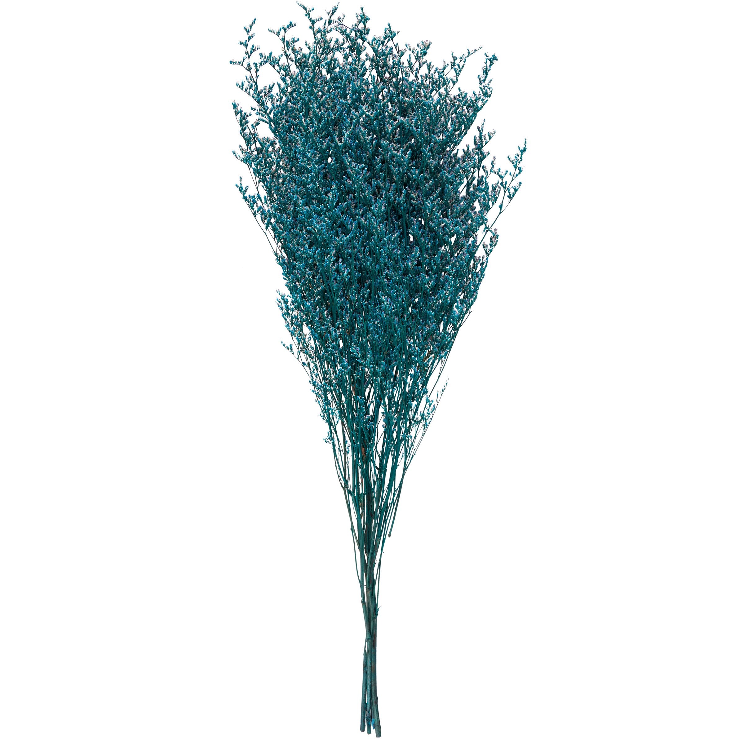 Vibrant Blue Caspia Dried Floral Bouquet, 27.5-Inch Natural Preserved Foliage Decor