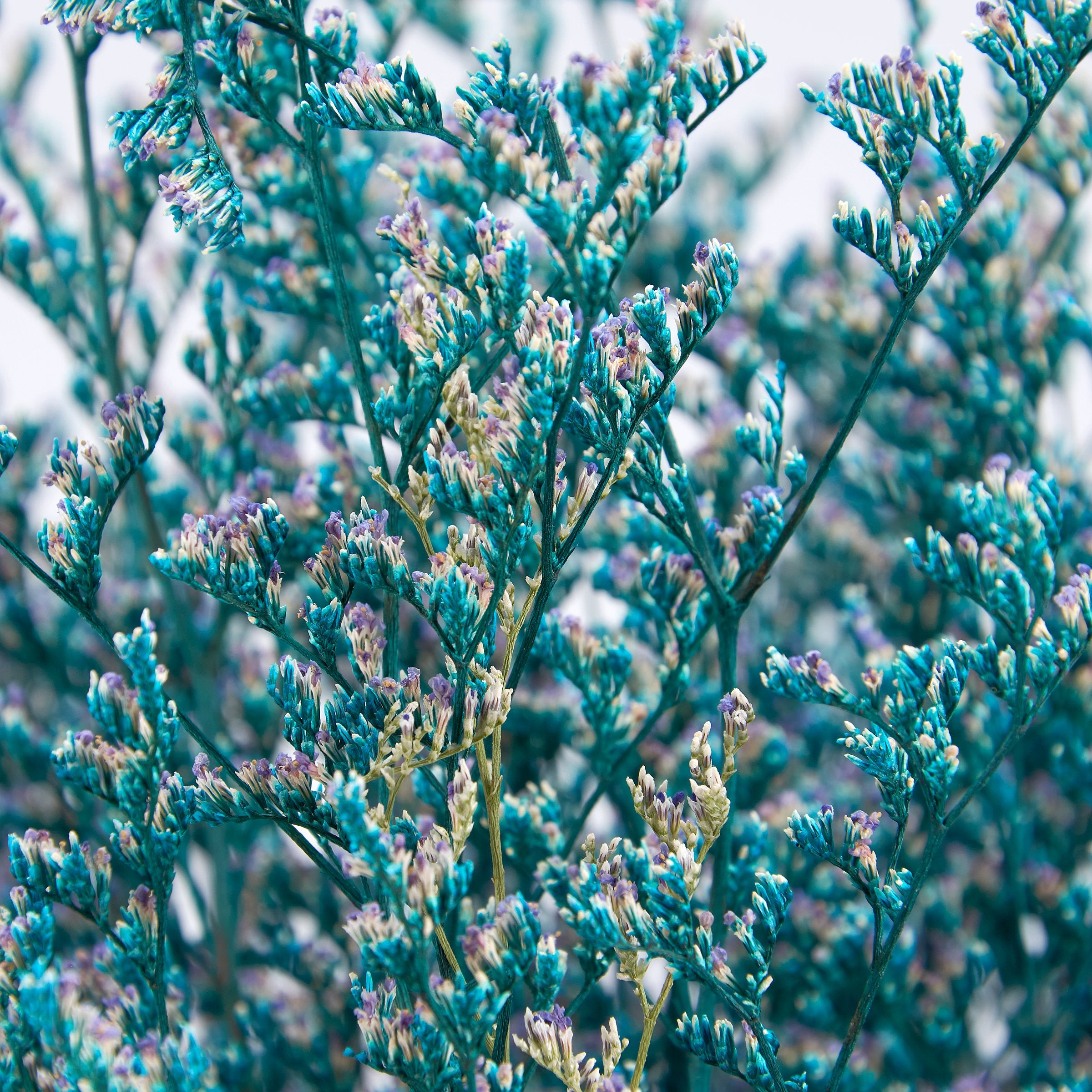 Vibrant Blue Caspia Dried Floral Bouquet, 27.5-Inch Natural Preserved Foliage Decor