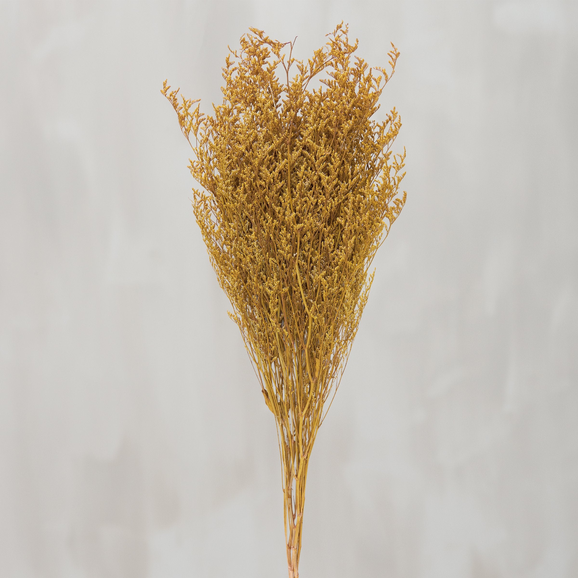 Vibrant Yellow Caspia Dried Floral Bouquet for Home Decor and Crafts