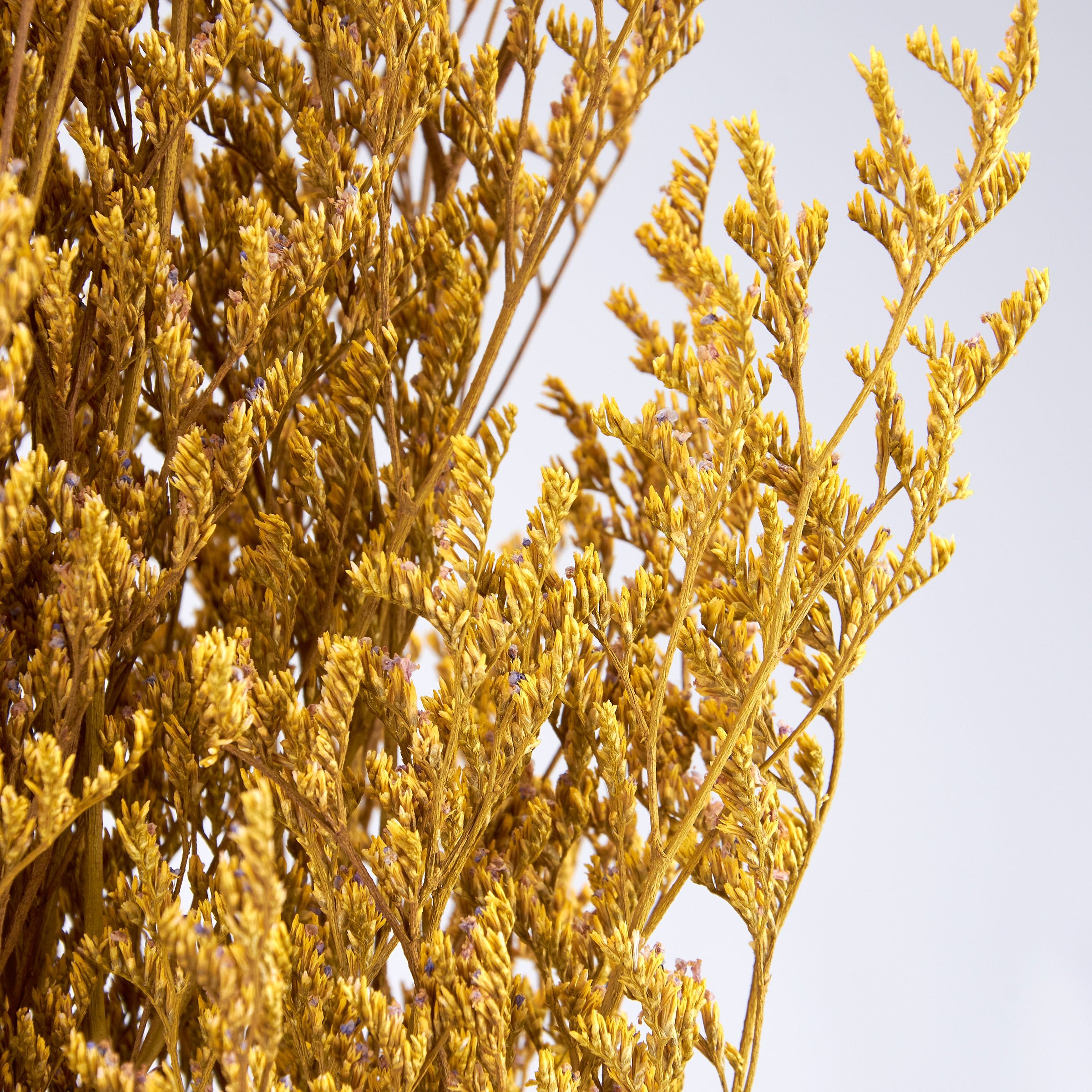 Vibrant Yellow Caspia Dried Floral Bouquet for Home Decor and Crafts