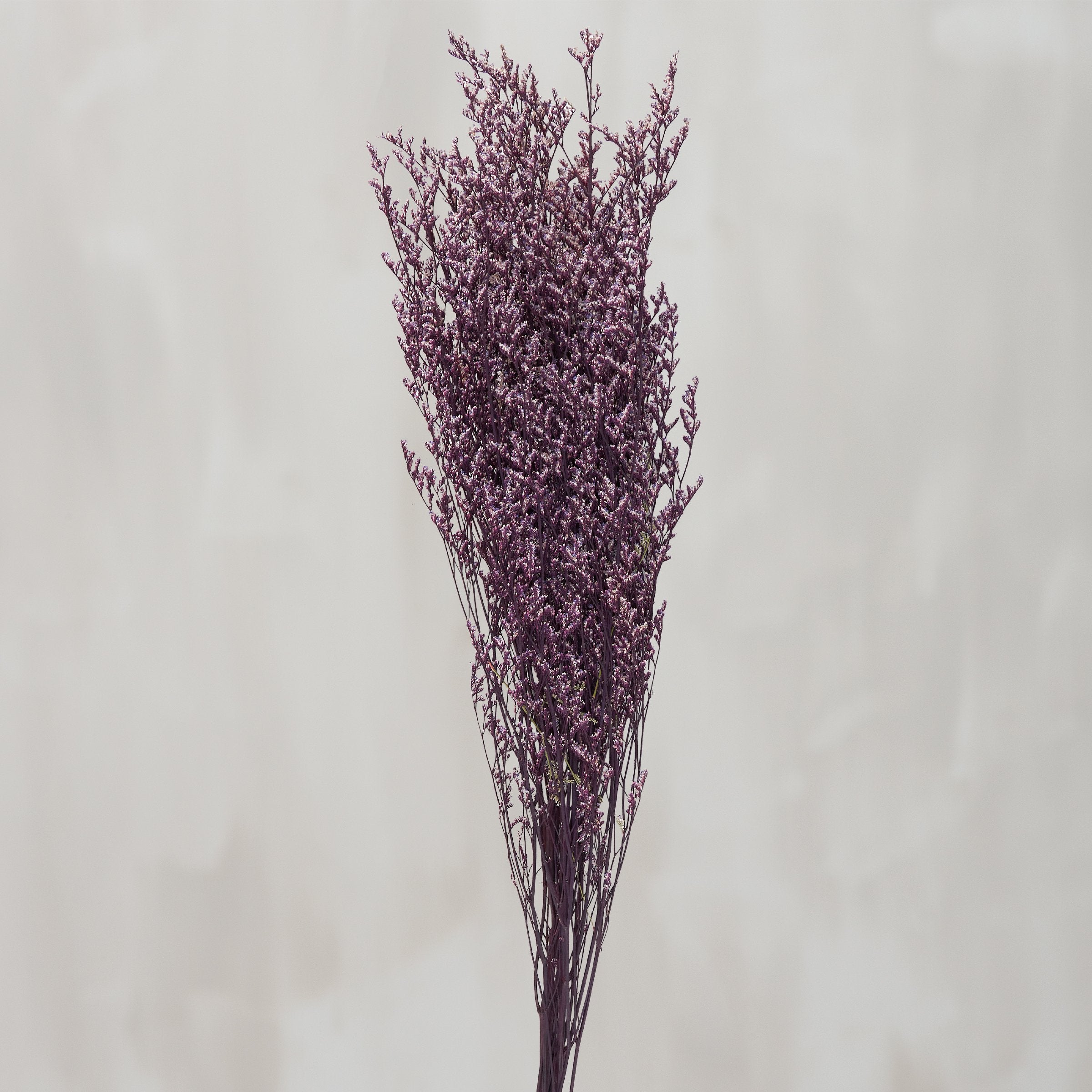 Vibrant Purple Caspia Dried Floral Bouquet for Lasting Home Decor