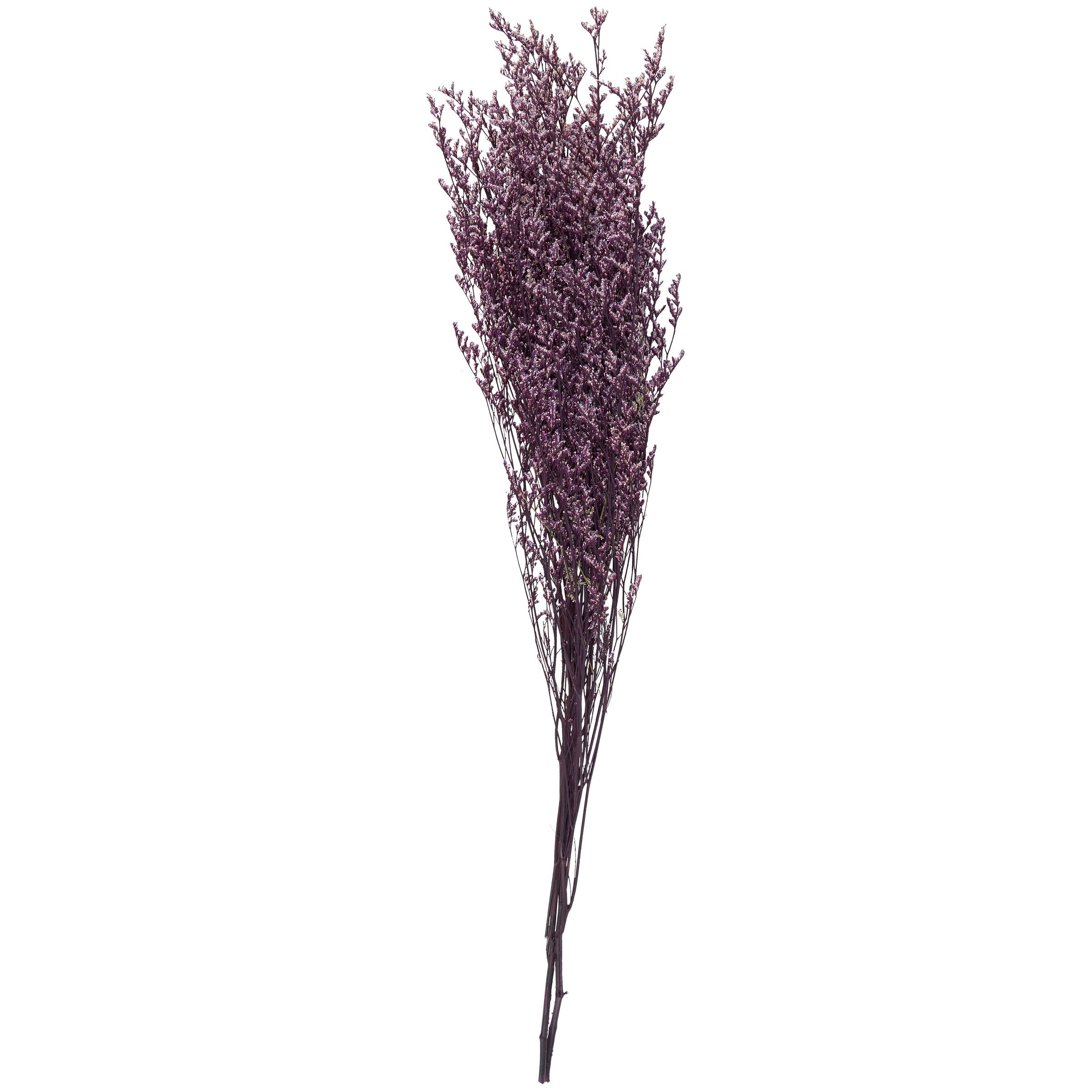Vibrant Purple Caspia Dried Floral Bouquet for Lasting Home Decor