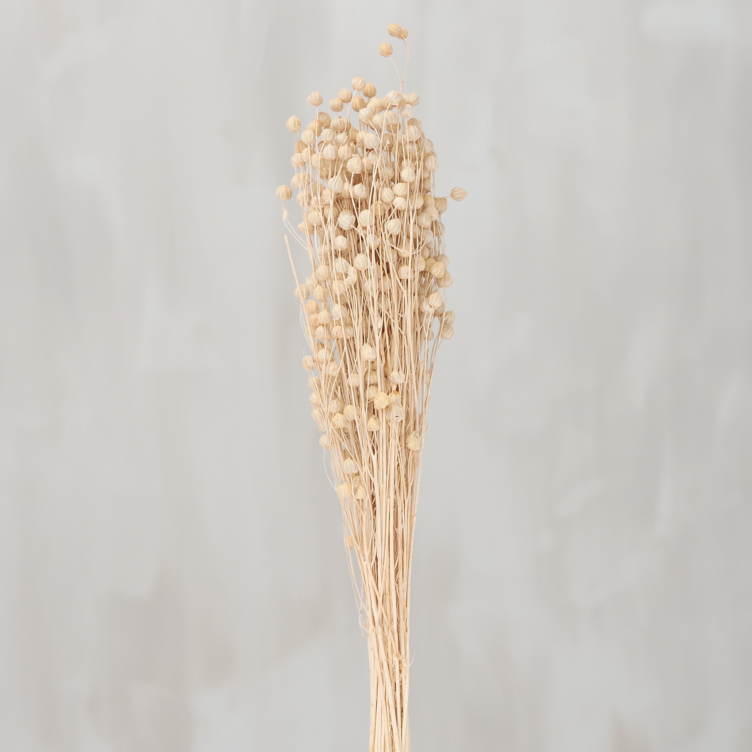 Long-Lasting Dried Rosary Pea Floral Bouquet - Natural Home Decor Arrangement