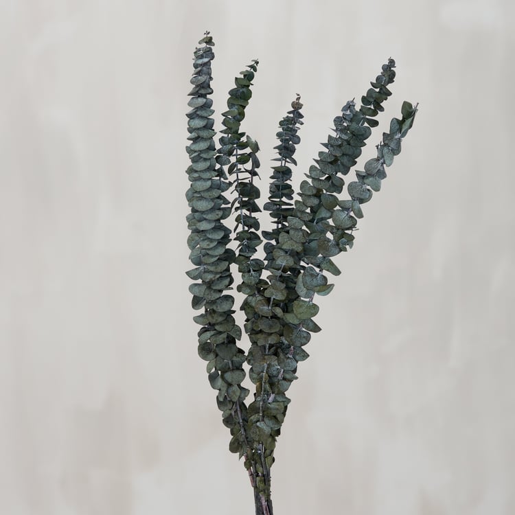Long-Lasting Green Eucalyptus Bouquet: Natural Dried Foliage for Elegant Home Decor