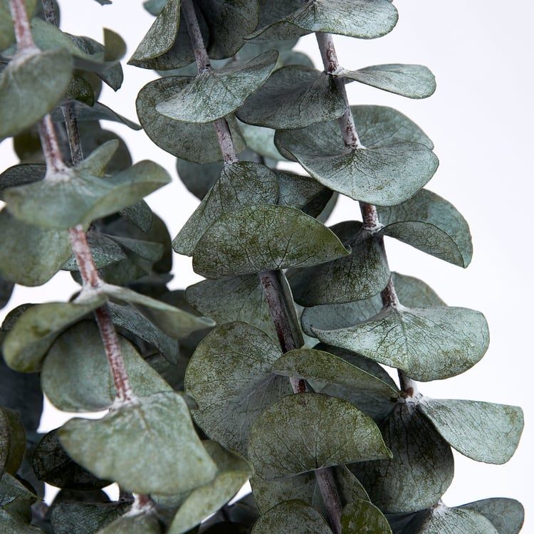 Long-Lasting Green Eucalyptus Bouquet: Natural Dried Foliage for Elegant Home Decor