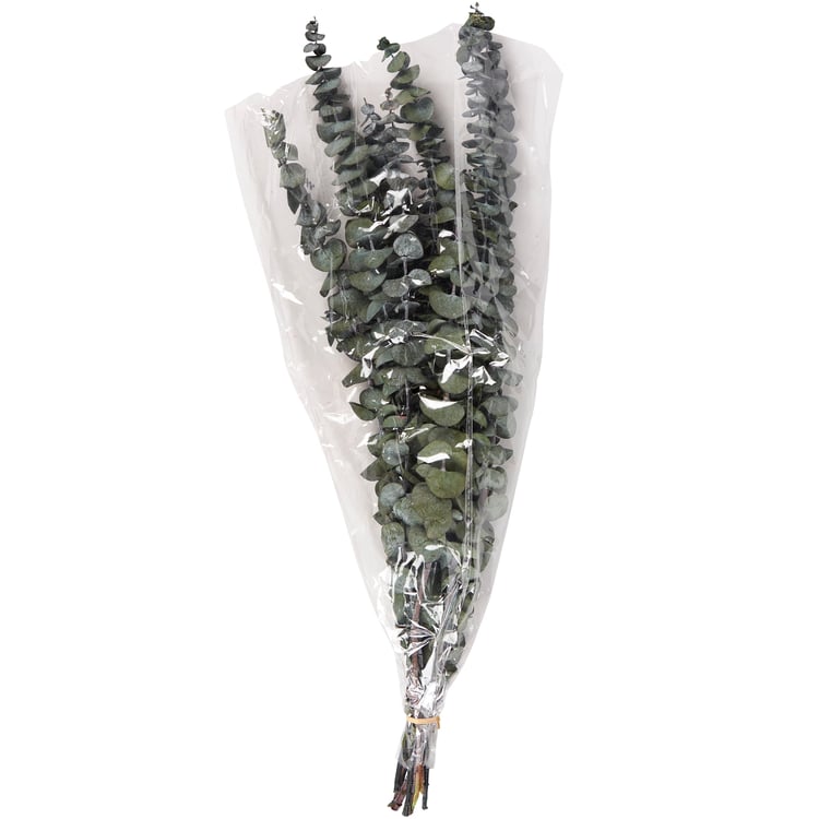 Long-Lasting Green Eucalyptus Bouquet: Natural Dried Foliage for Elegant Home Decor