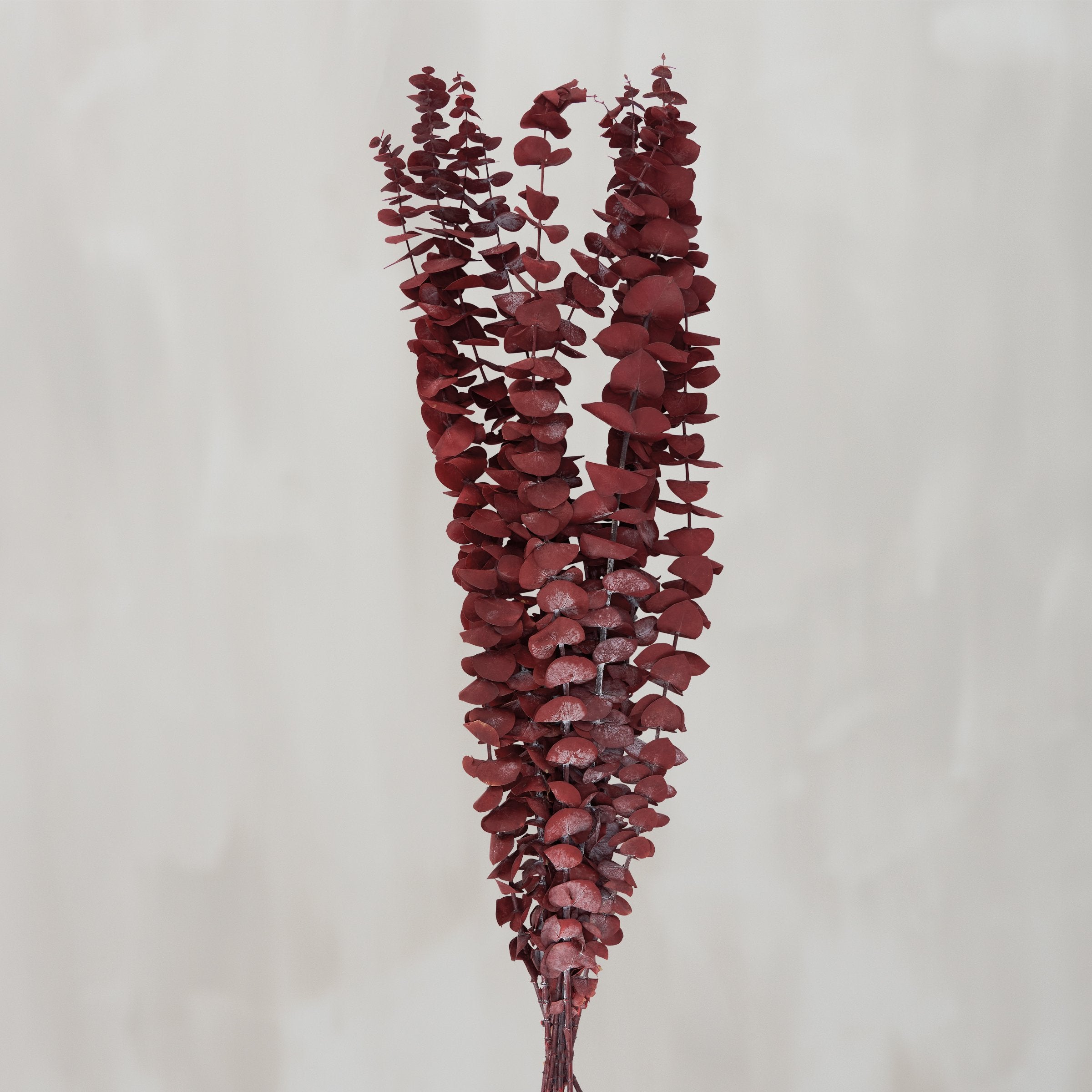 Dark Red Eucalyptus Dried Bouquet - Natural Foliage for Elegant Home Decor