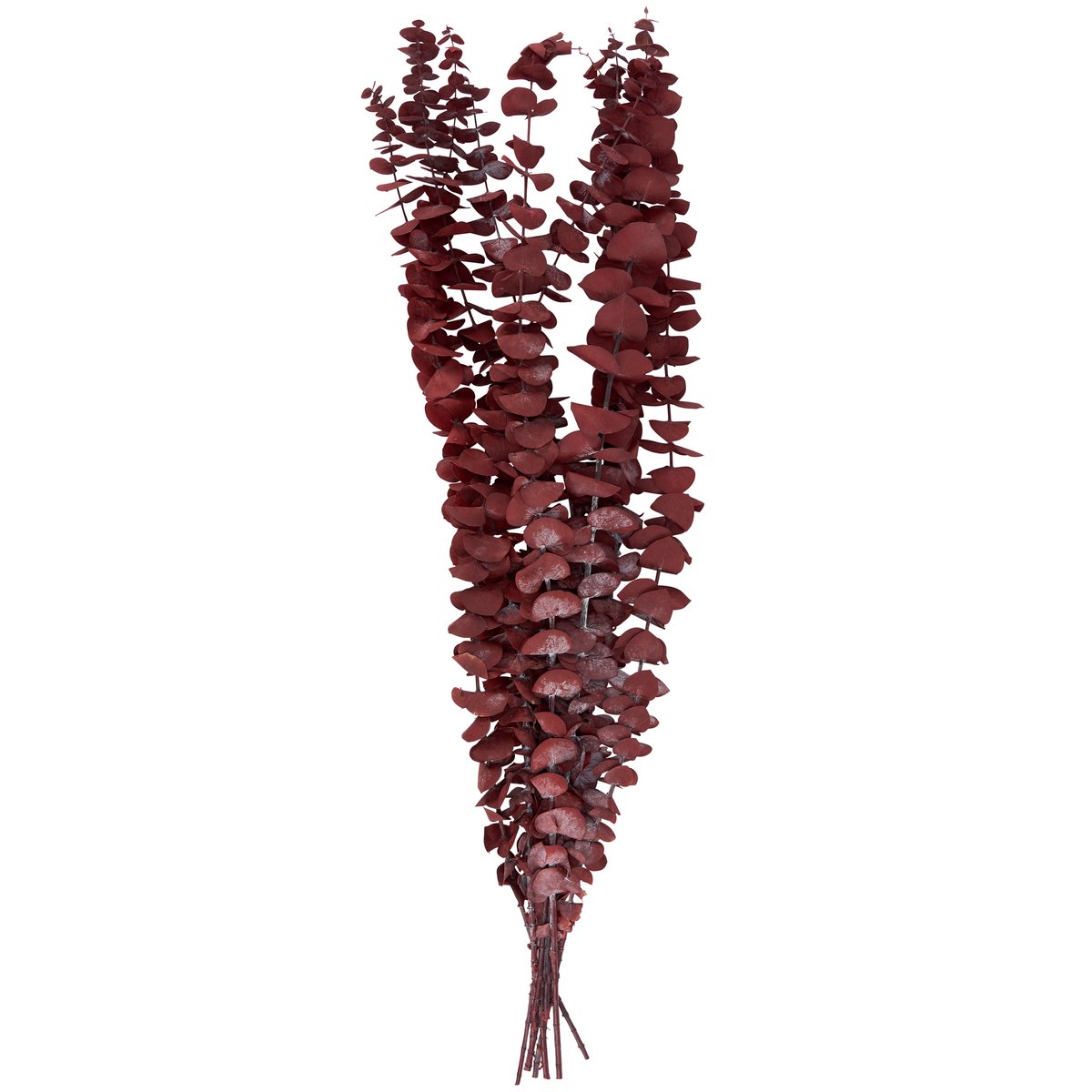 Dark Red Eucalyptus Dried Bouquet - Natural Foliage for Elegant Home Decor
