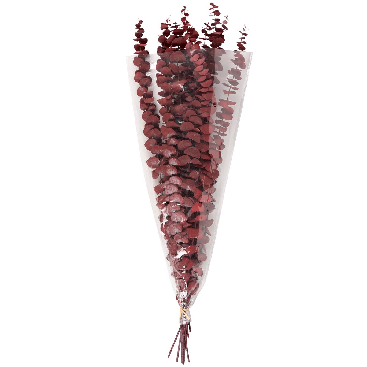 Dark Red Eucalyptus Dried Bouquet - Natural Foliage for Elegant Home Decor