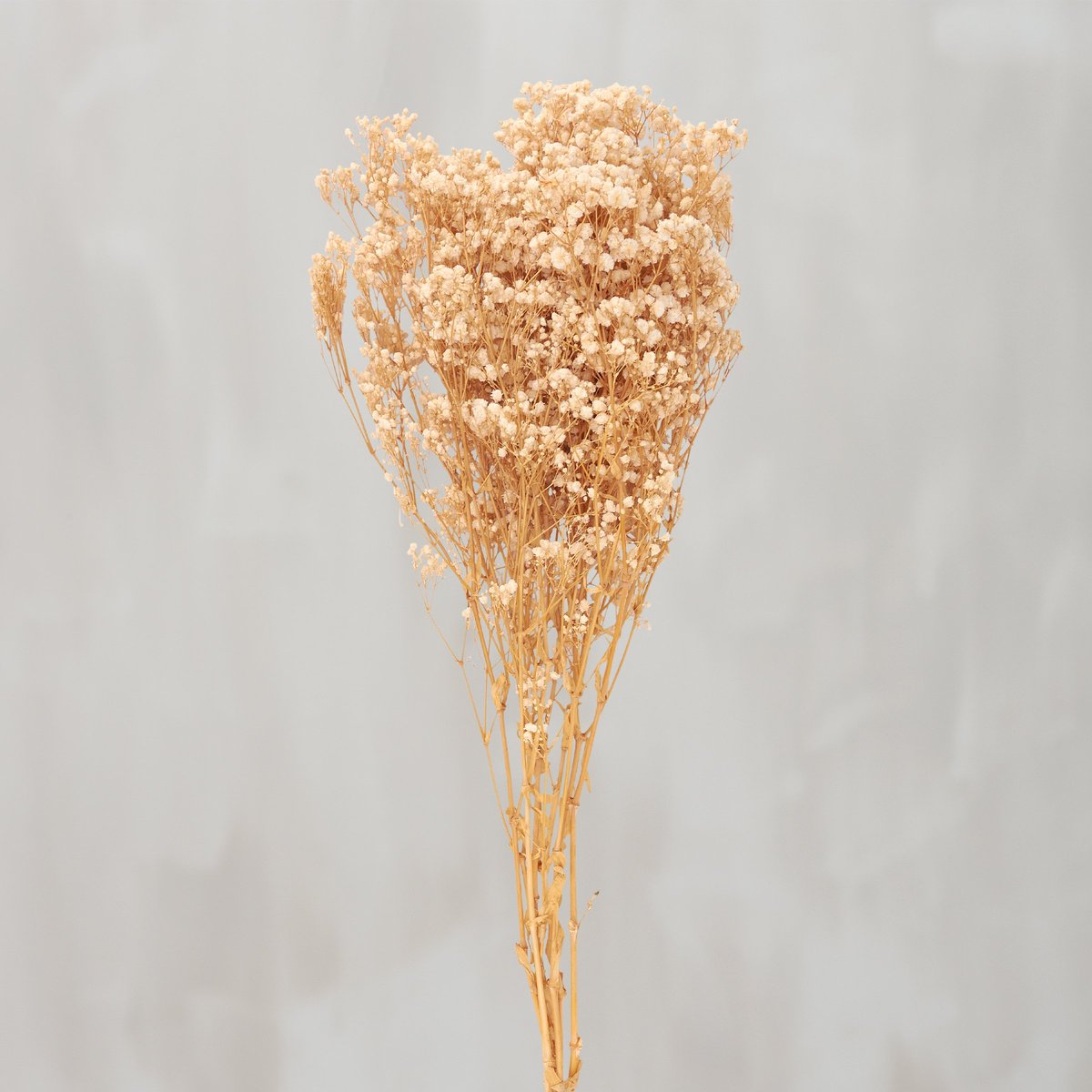 Elegant Cream Baby's Breath Bouquet: Natural Preserved Foliage for Home Decor