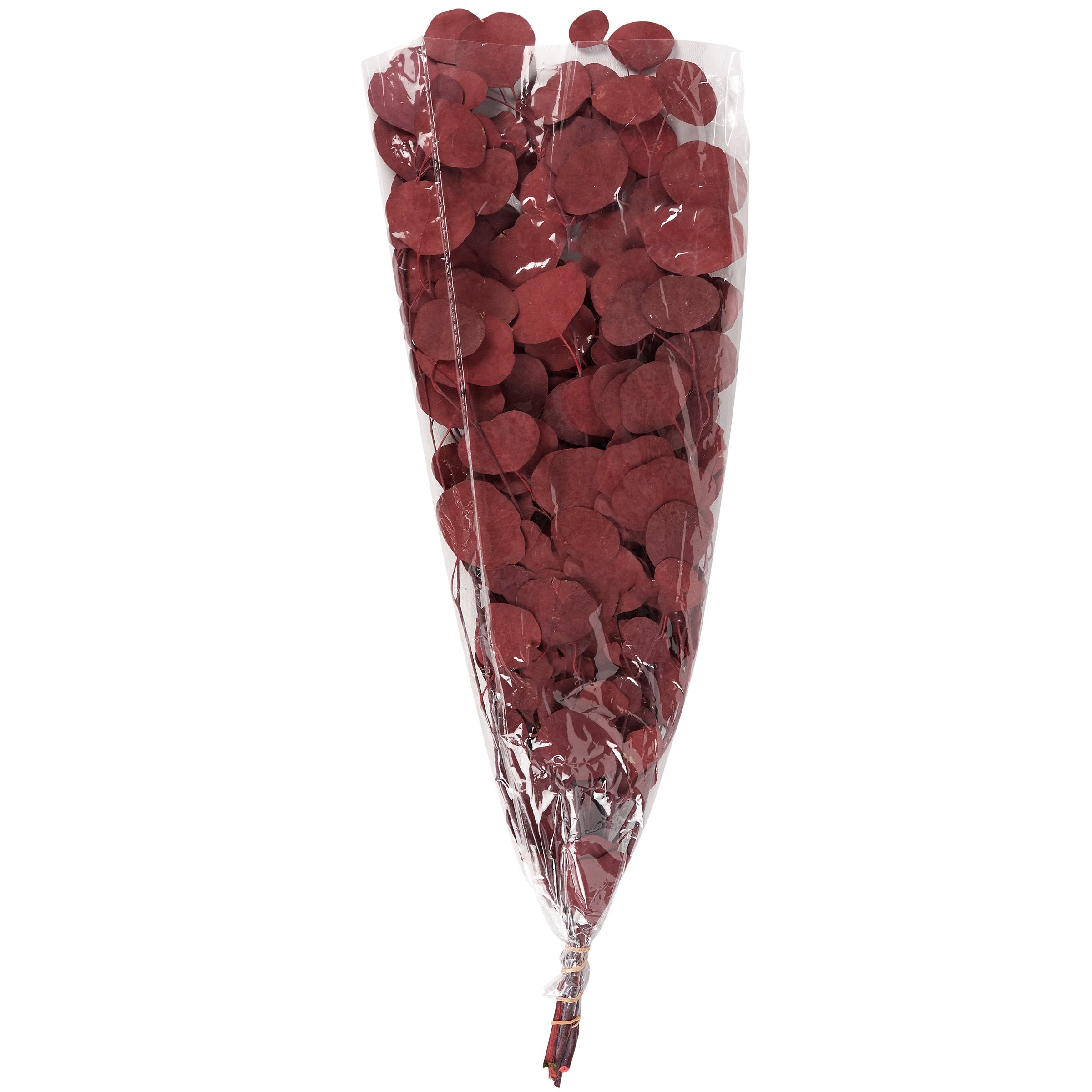 Vibrant Red Silver Dollar Dried Foliage Bouquet for Long-Lasting Home Decor