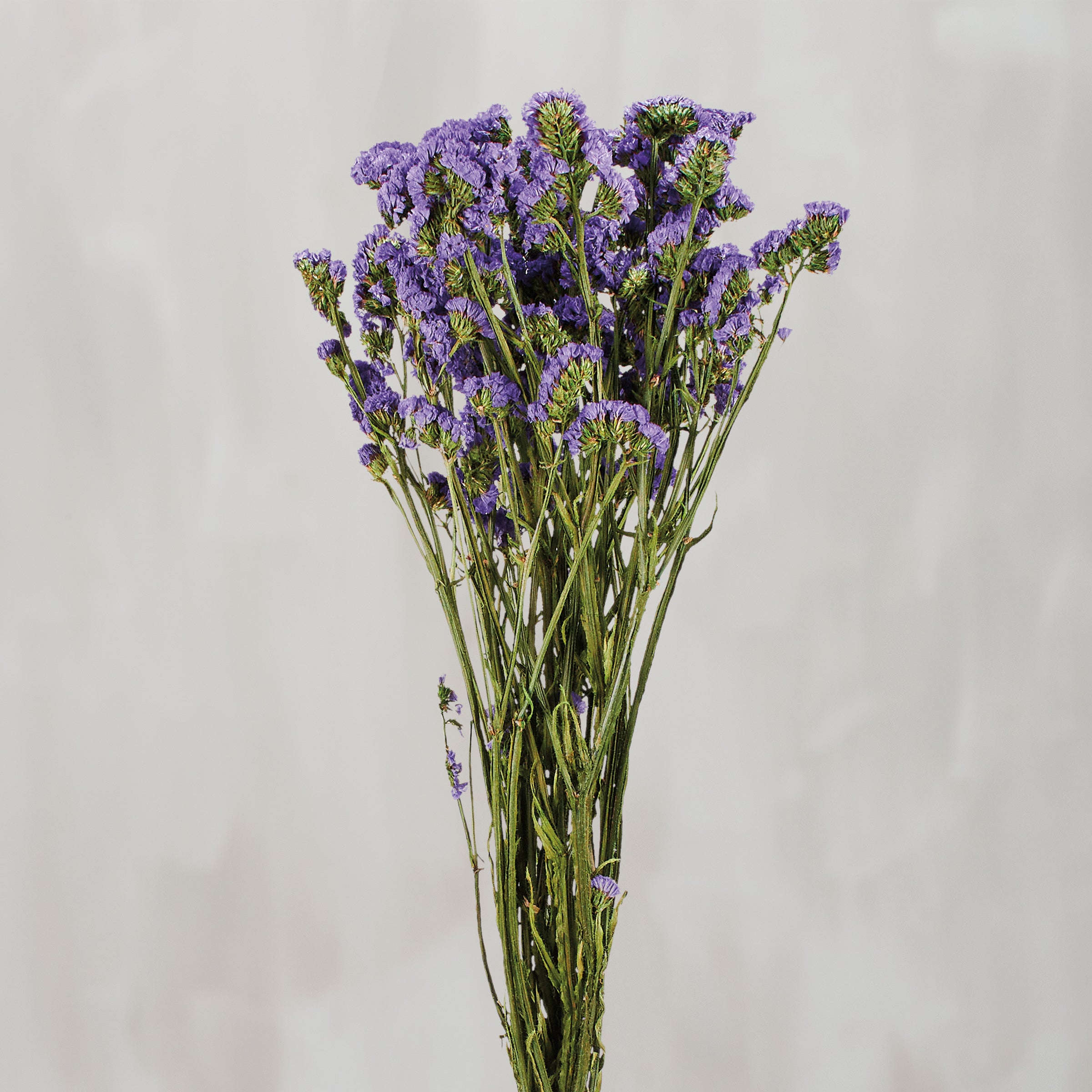 Dried Natural Purple Statice Forget-Me-Not Flower Bouquet for Home Decor