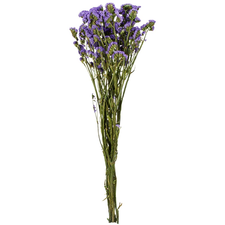 Dried Natural Purple Statice Forget-Me-Not Flower Bouquet for Home Decor