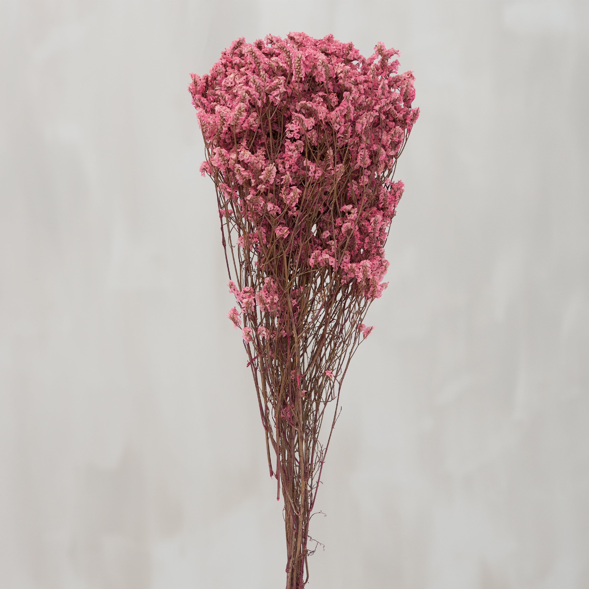 Elegant Pink Dried Flower Bouquet - Natural Long-Lasting Foliage for Home Decor