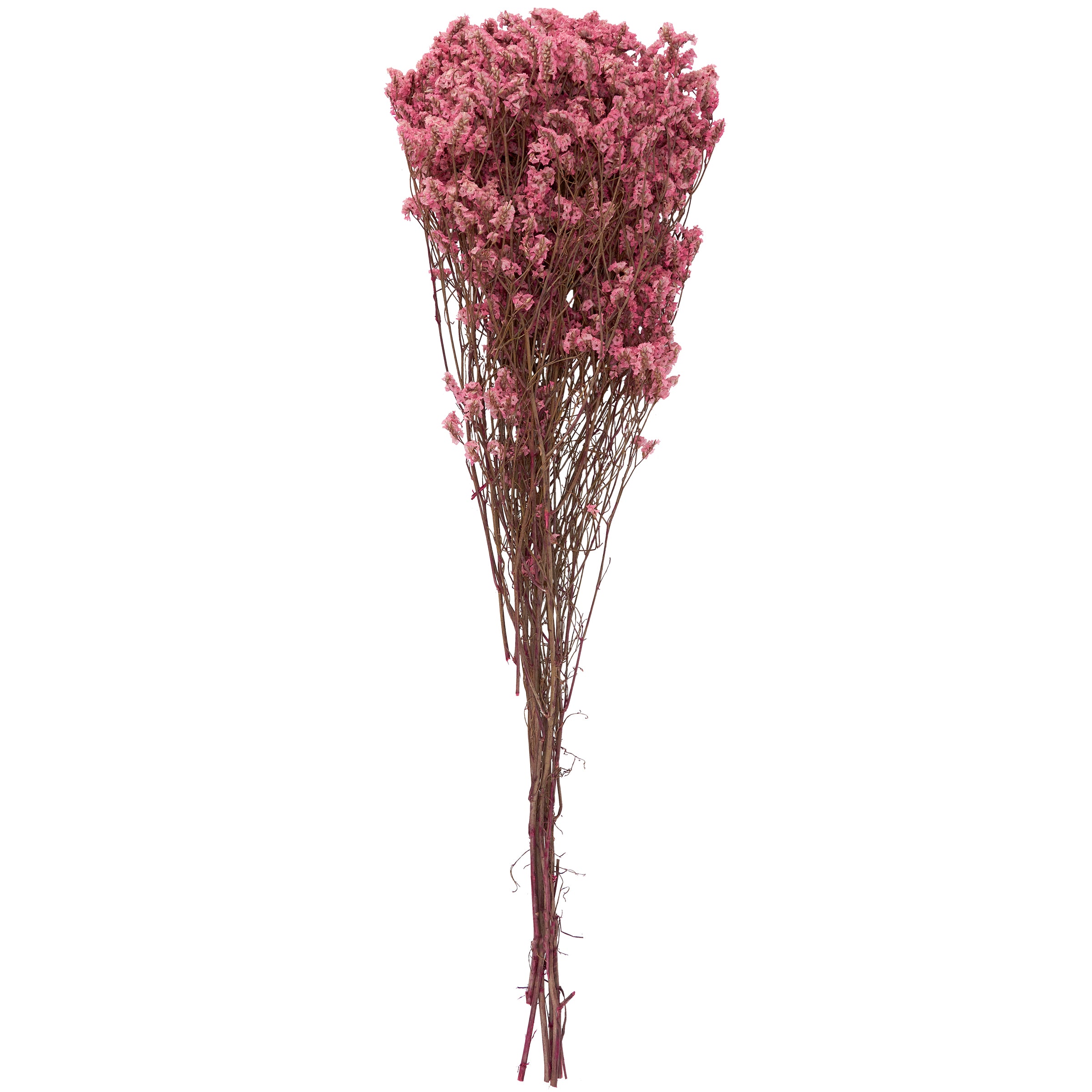 Elegant Pink Dried Flower Bouquet - Natural Long-Lasting Foliage for Home Decor